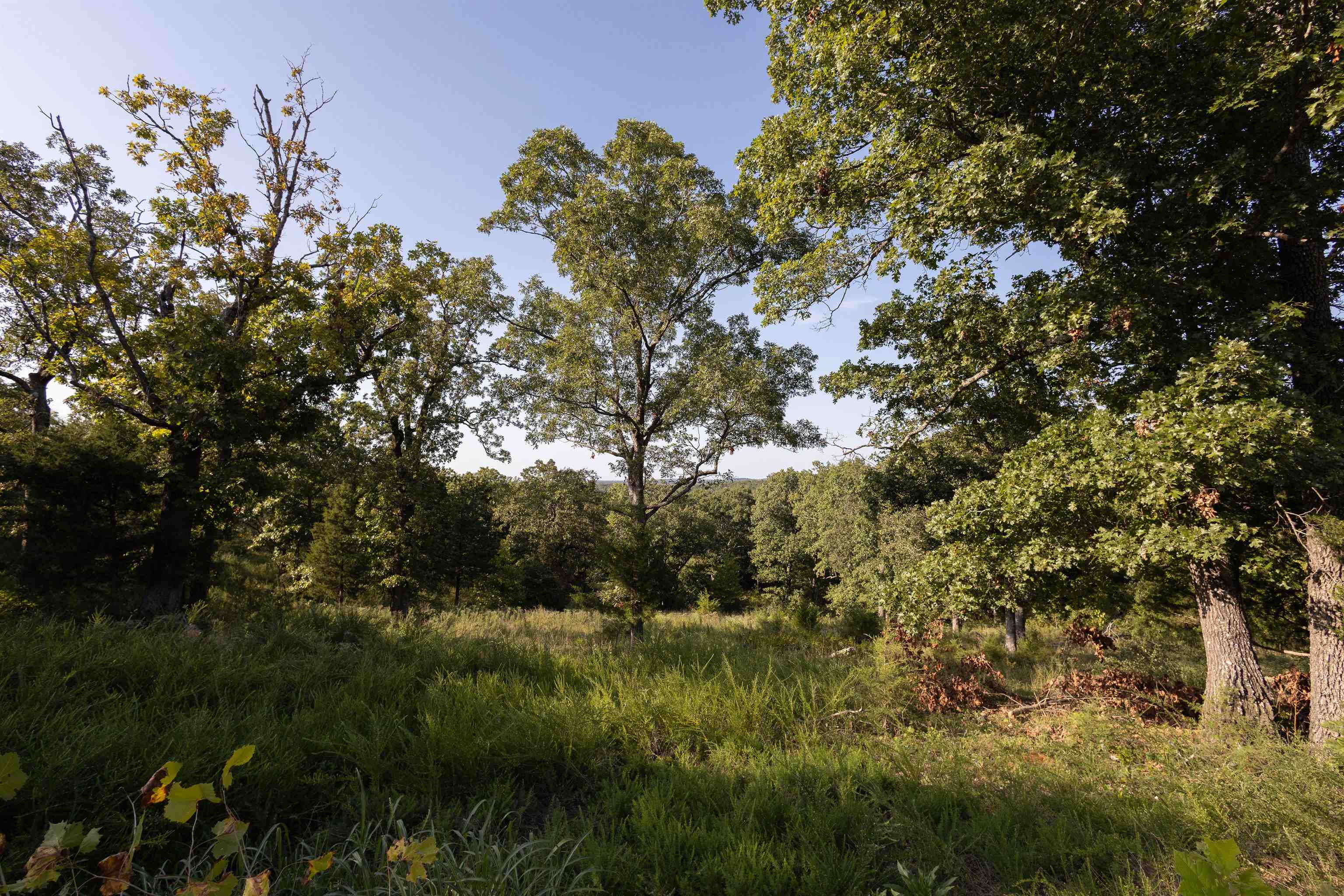 9  MC 124  Oakland, AR