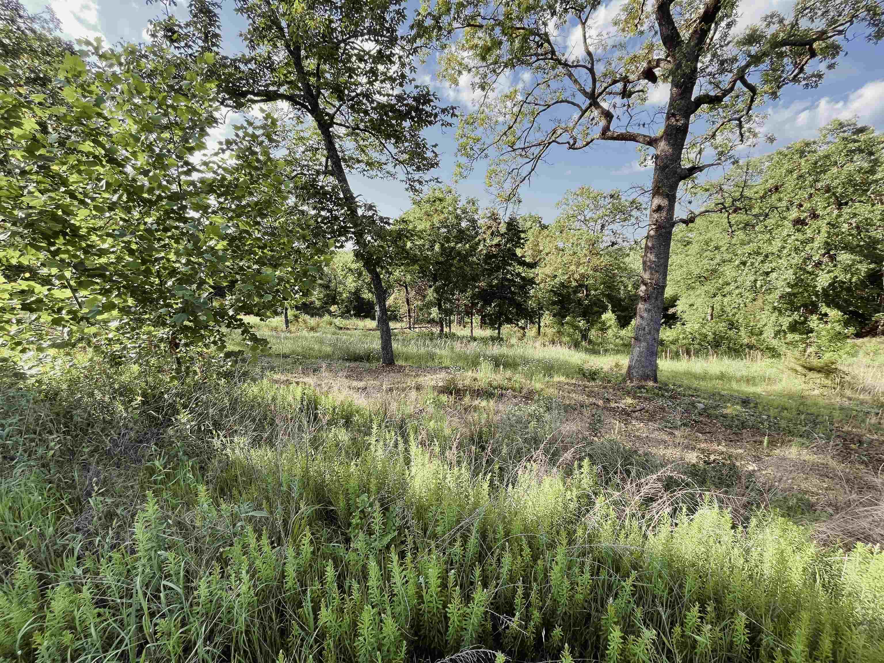 9  MC 124  Oakland, AR
