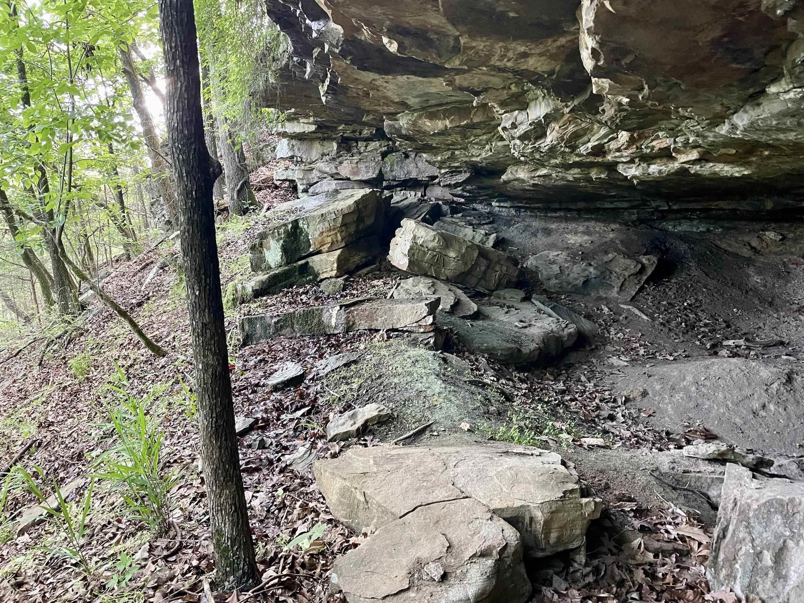 001  HWY 359  Lamar, AR
