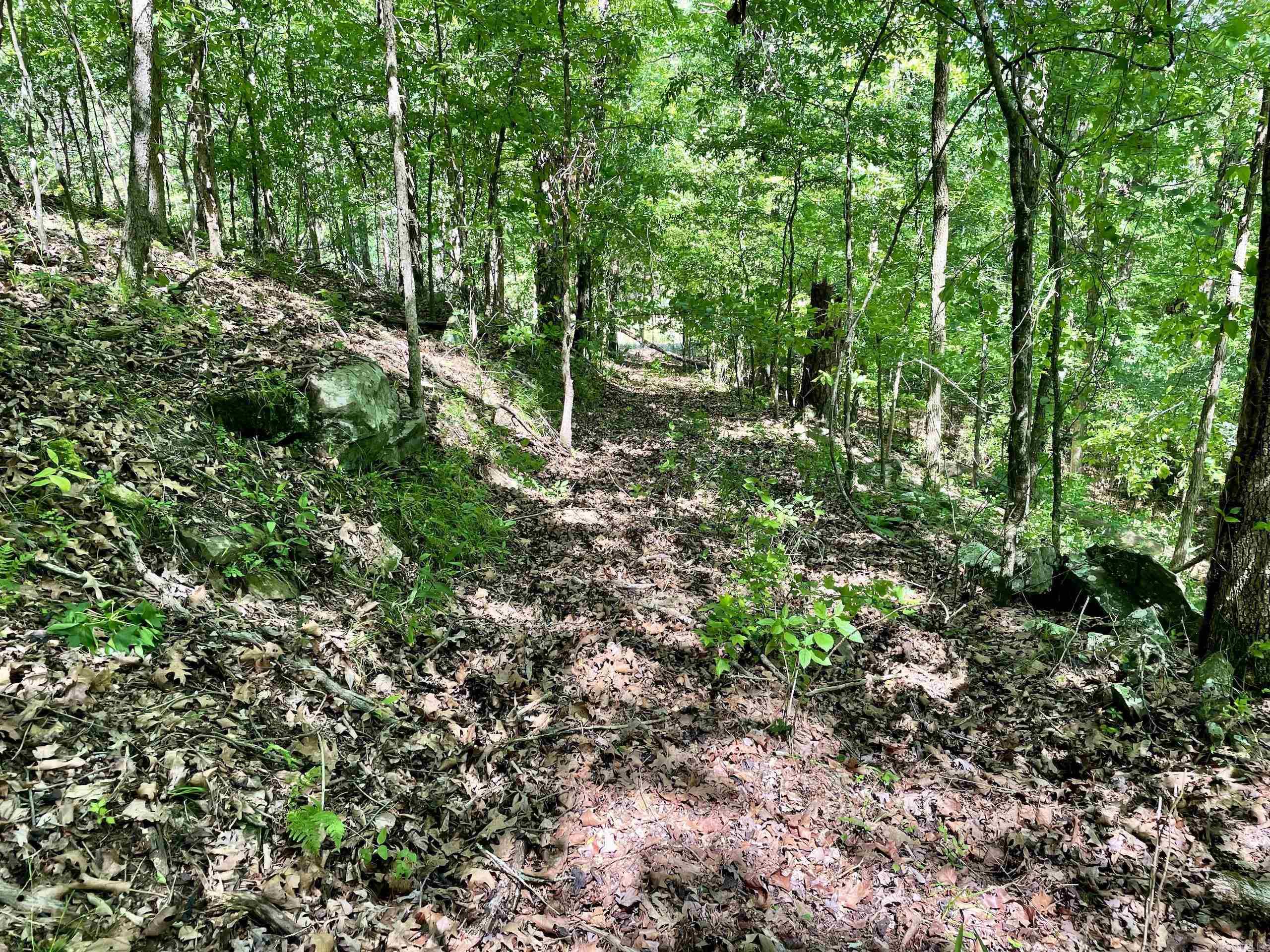 001  HWY 359  Lamar, AR