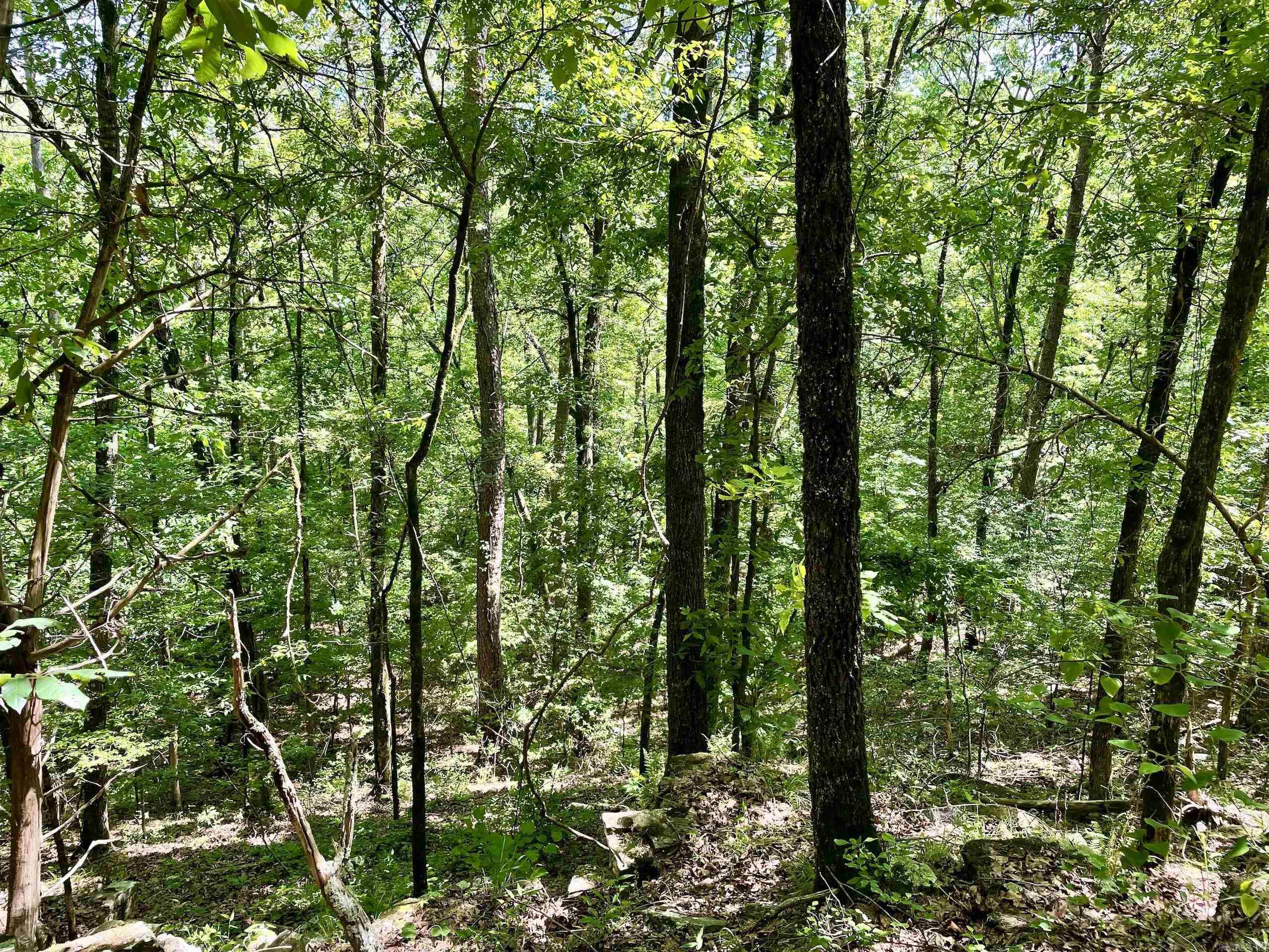001  HWY 359  Lamar, AR