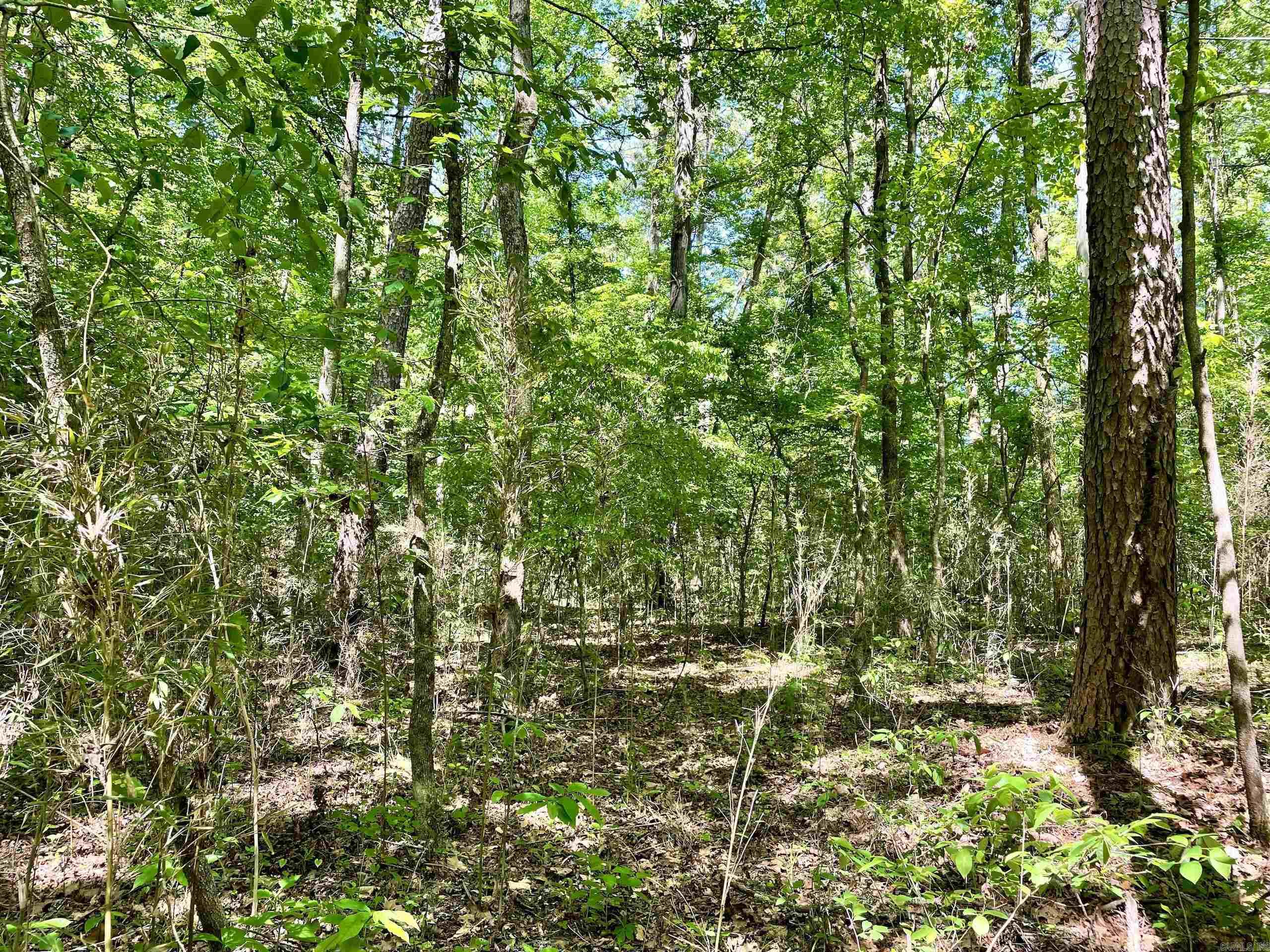001  HWY 359  Lamar, AR