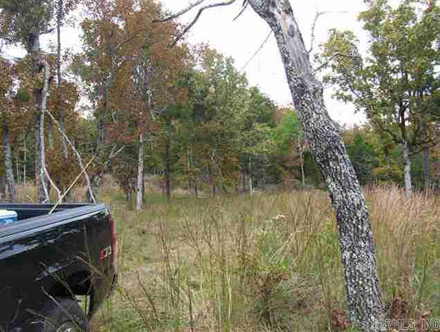 00 Honeysuckle Lane Quitman, AR 72131