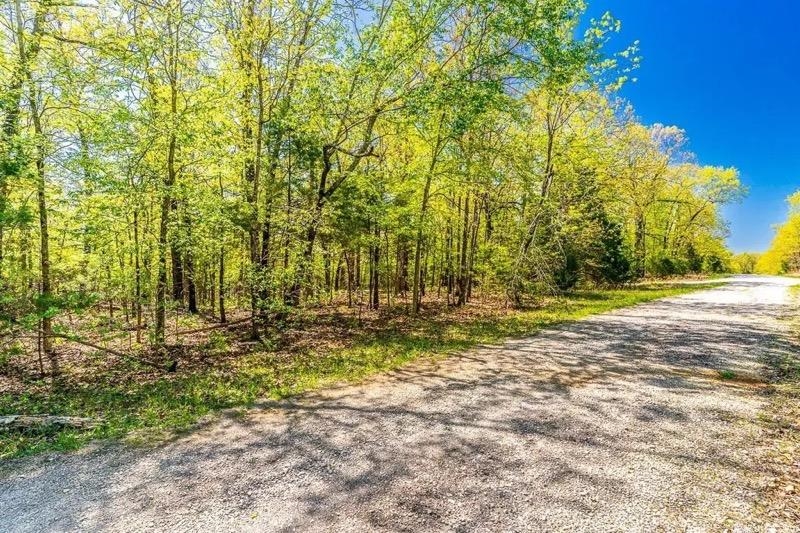 709  Primrose Lane  Horseshoe Bend, AR