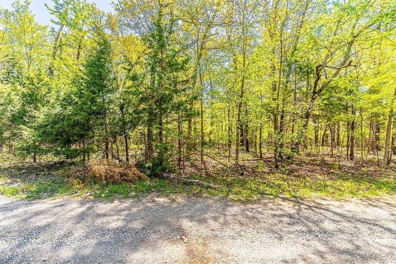 709  Primrose Lane  Horseshoe Bend, AR