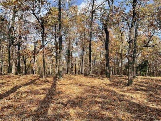 709  Primrose Lane  Horseshoe Bend, AR