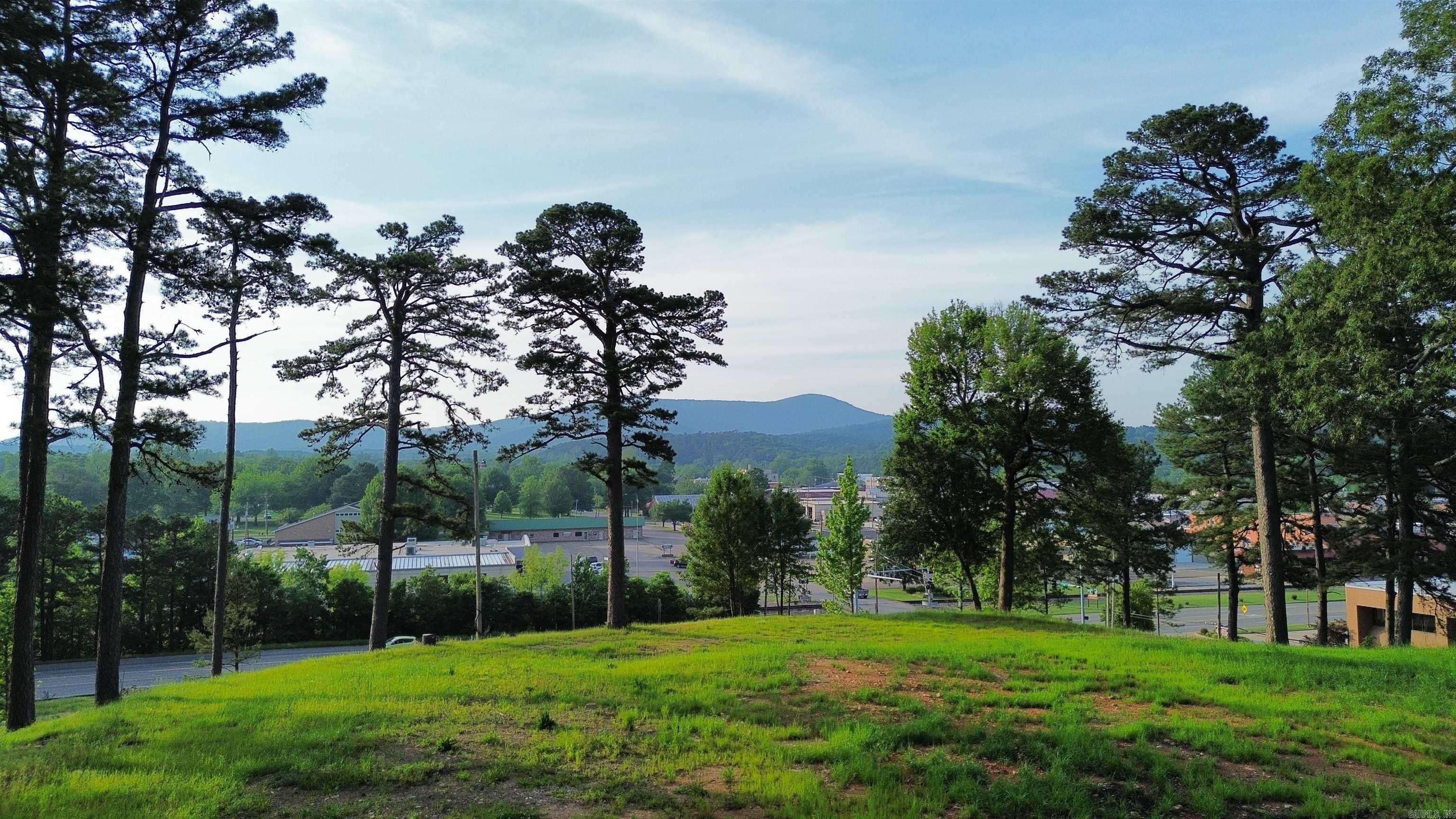 705  Gillham  Mena, AR