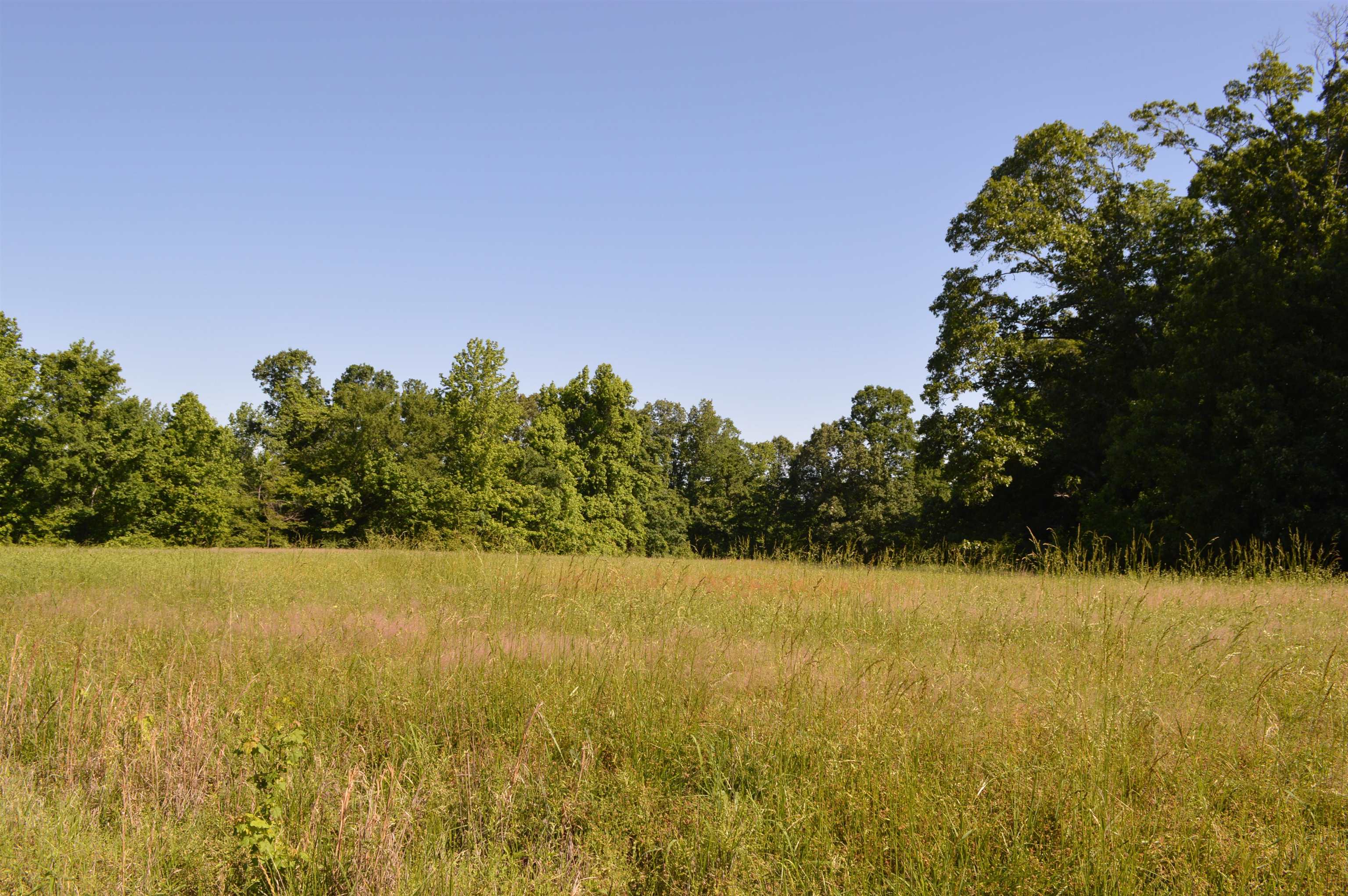 23.00 Acres  760  Wynne, AR