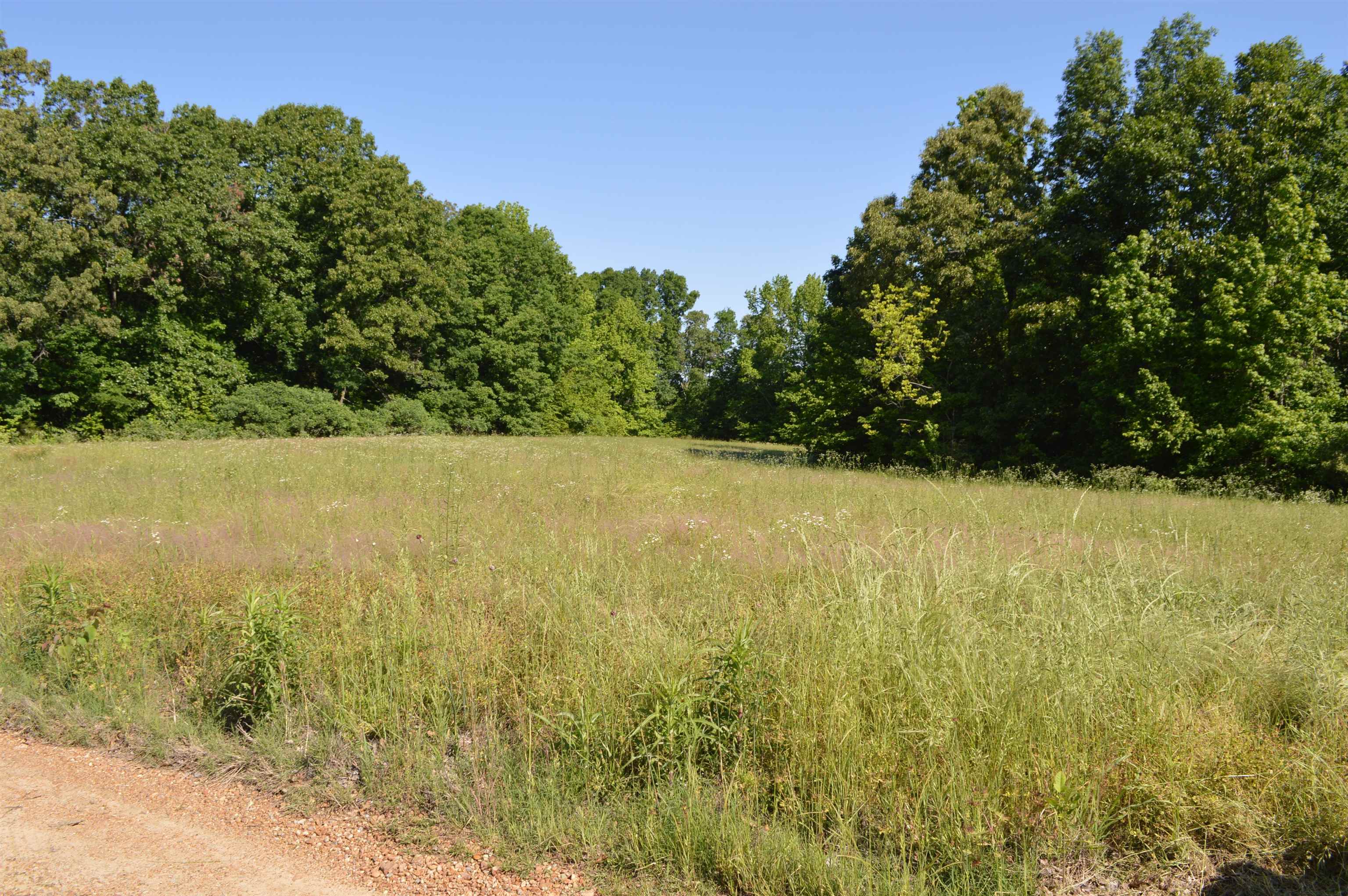 23.00 Acres  760  Wynne, AR
