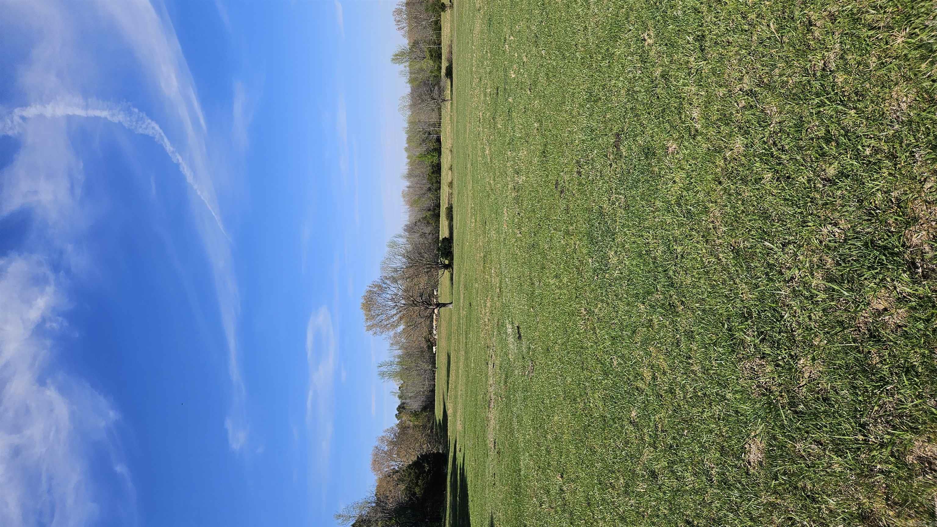 32  County Road 420  Rector, AR