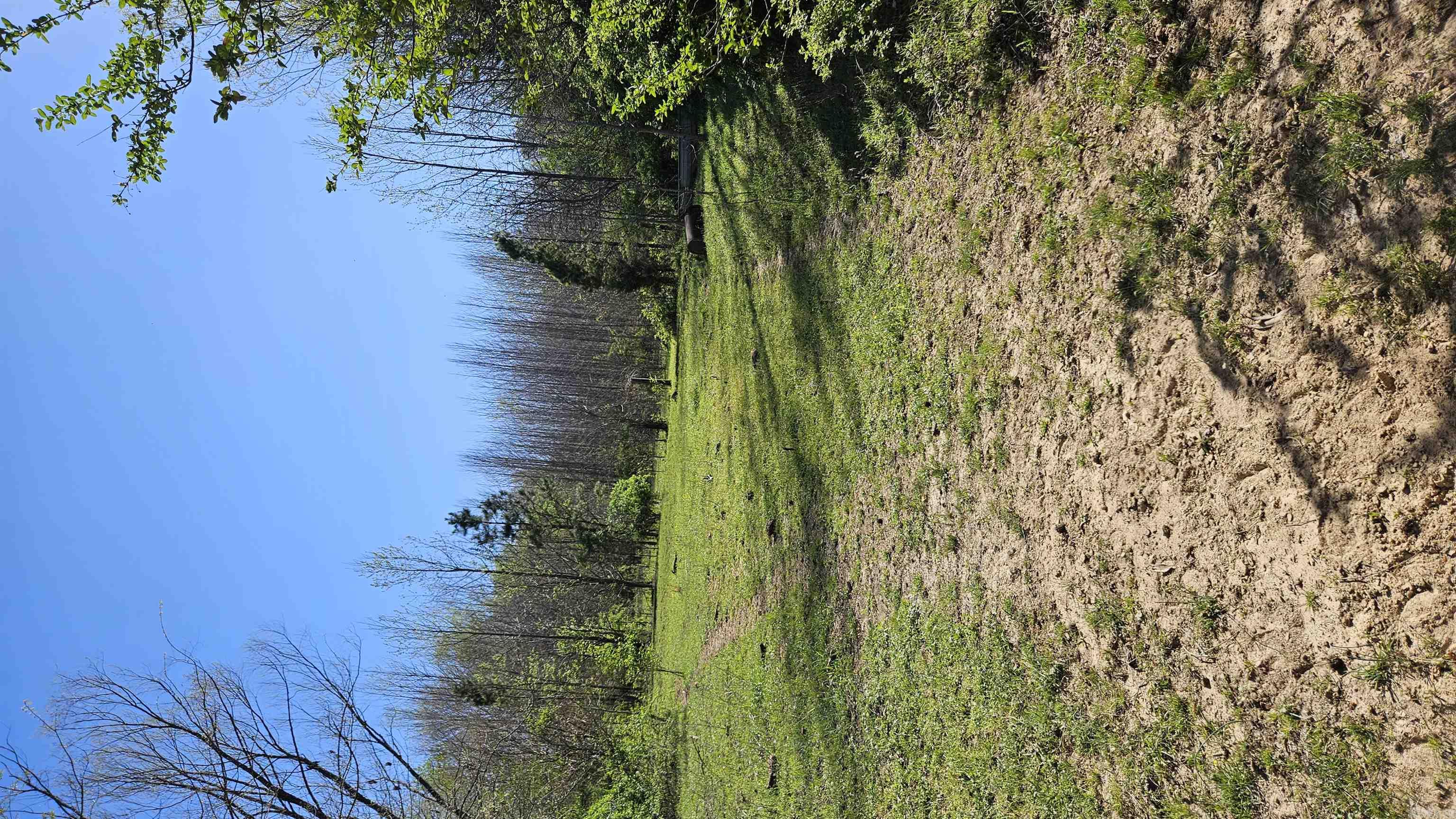 32 County Road 420  Rector, AR