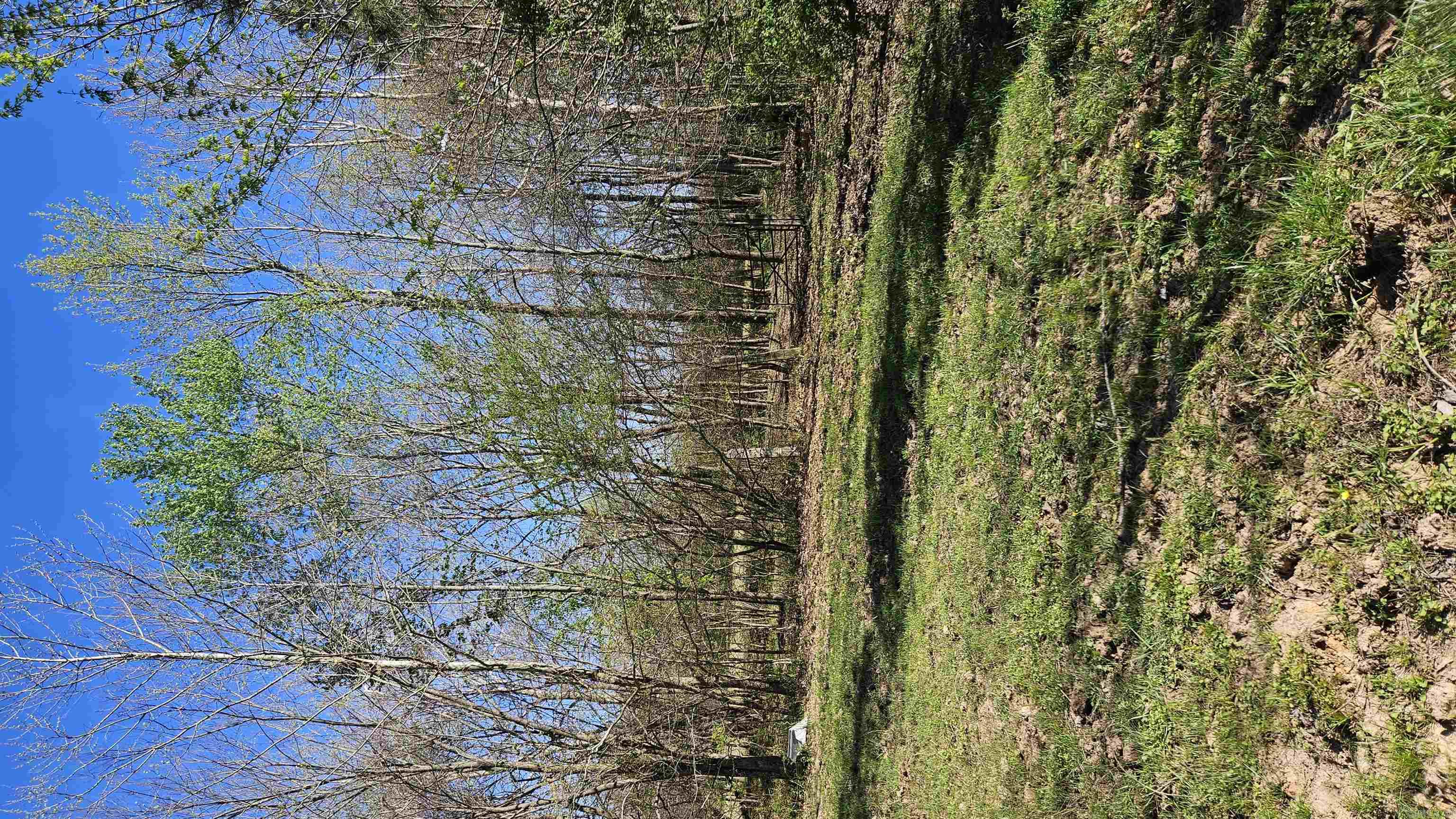 32  County Road 420  Rector, AR