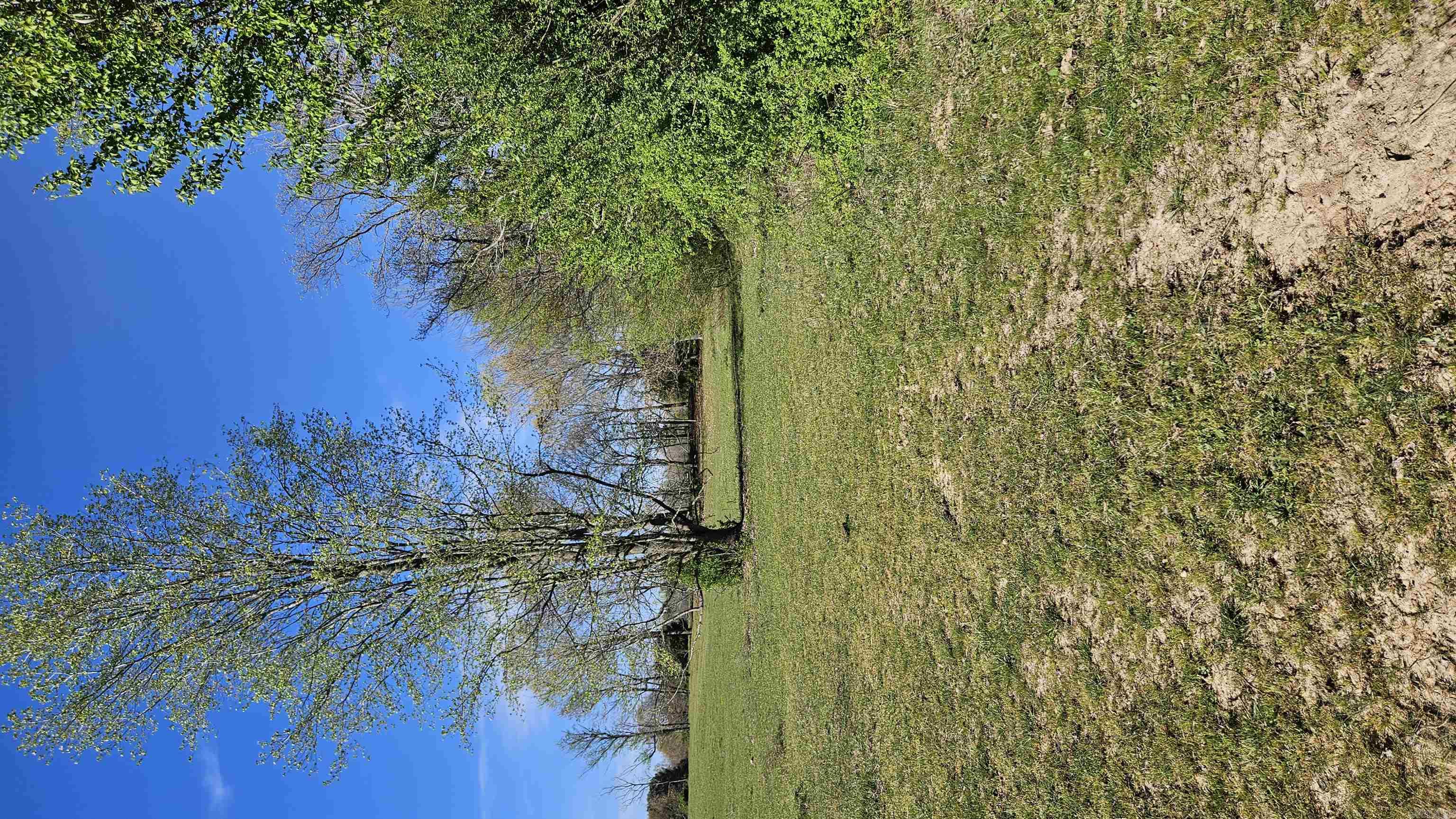 32  County Road 420  Rector, AR