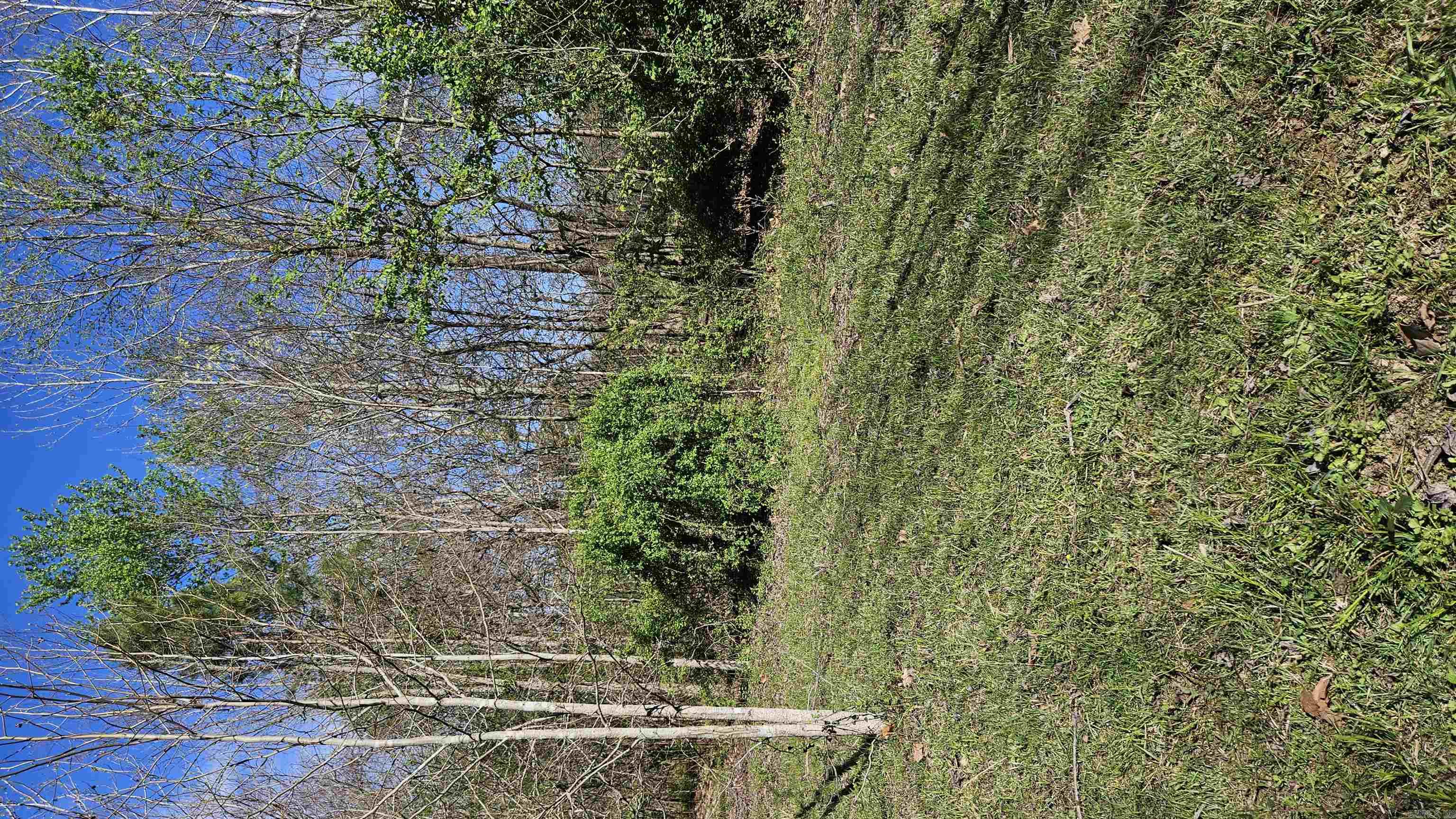 32  County Road 420  Rector, AR