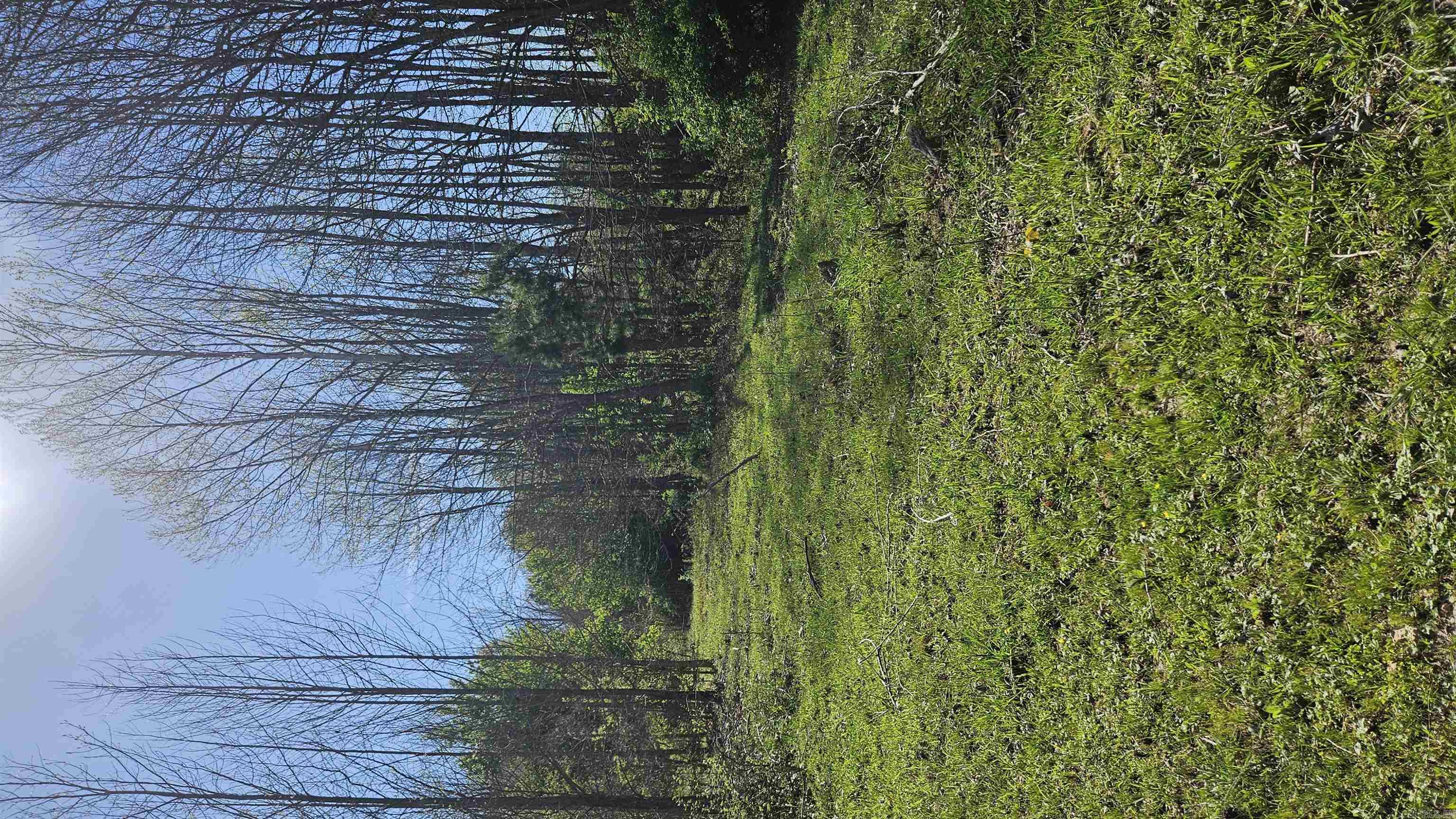 32 County Road 420  Rector, AR