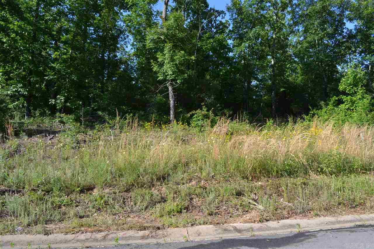 Lot 3  Knifechief  Cabot, AR