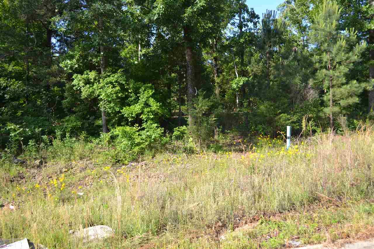 Lot 4  Knifechief  Cabot, AR