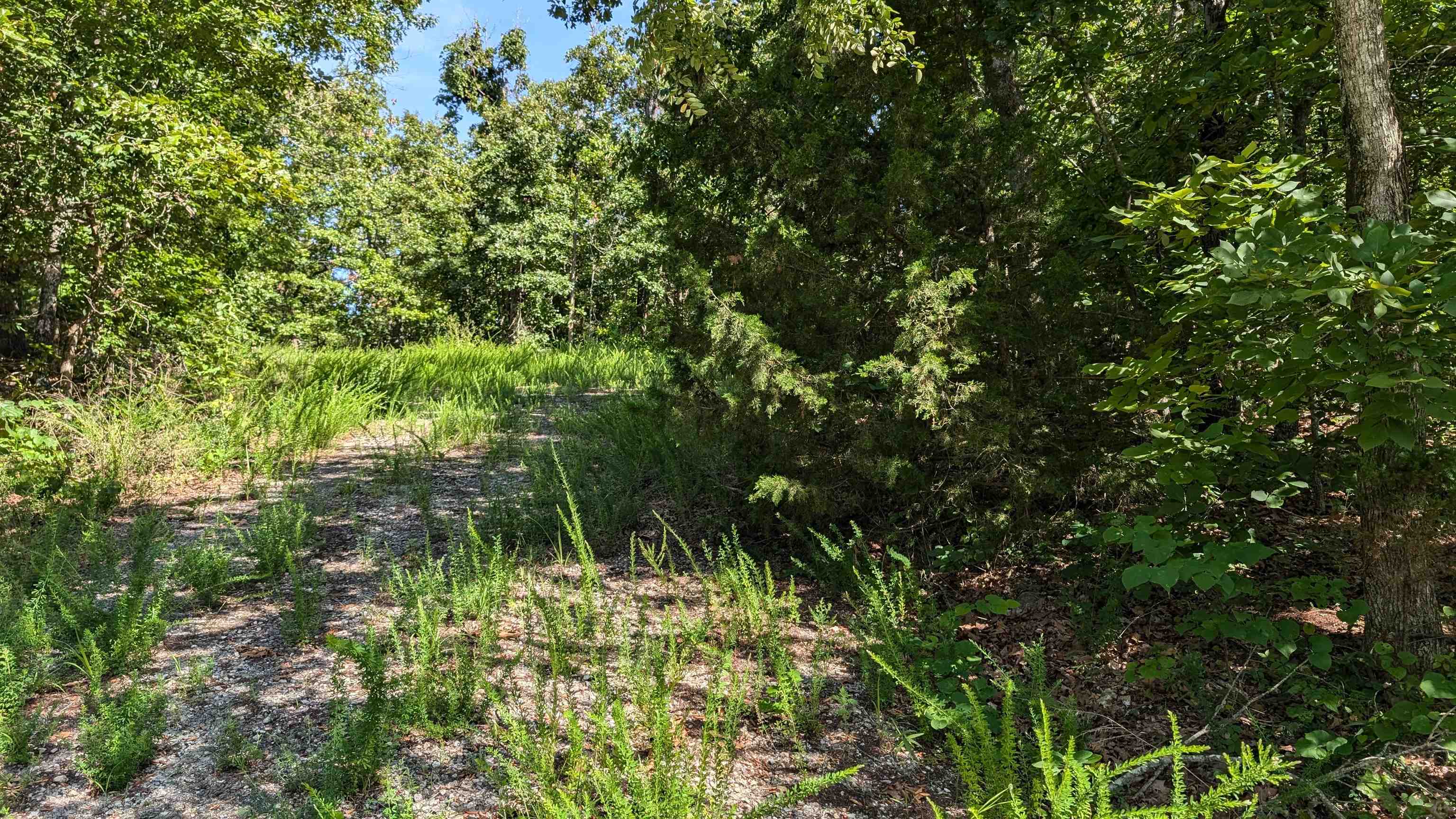 5  Sagwah  Cherokee Village, AR