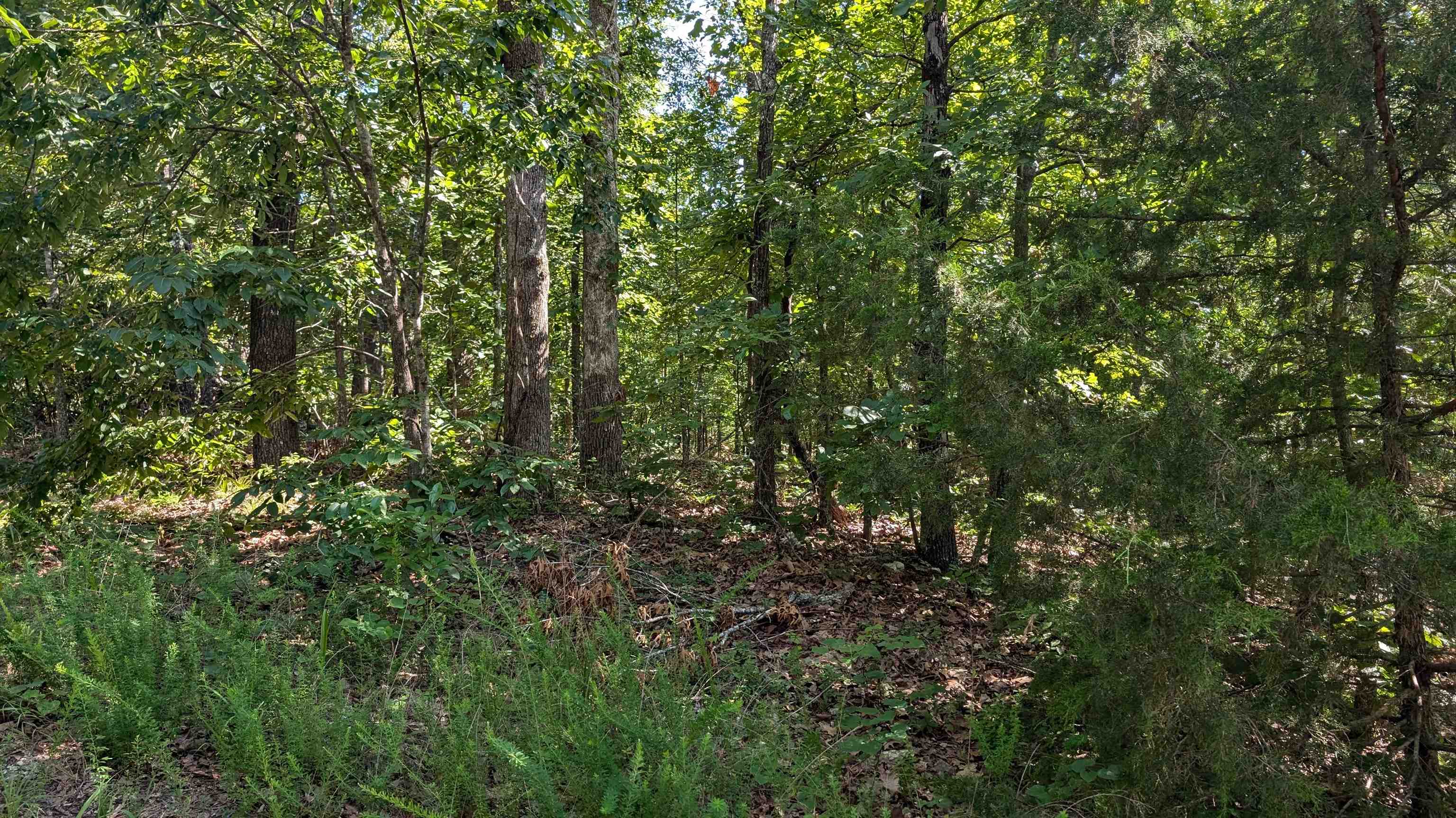 5  Sagwah  Cherokee Village, AR