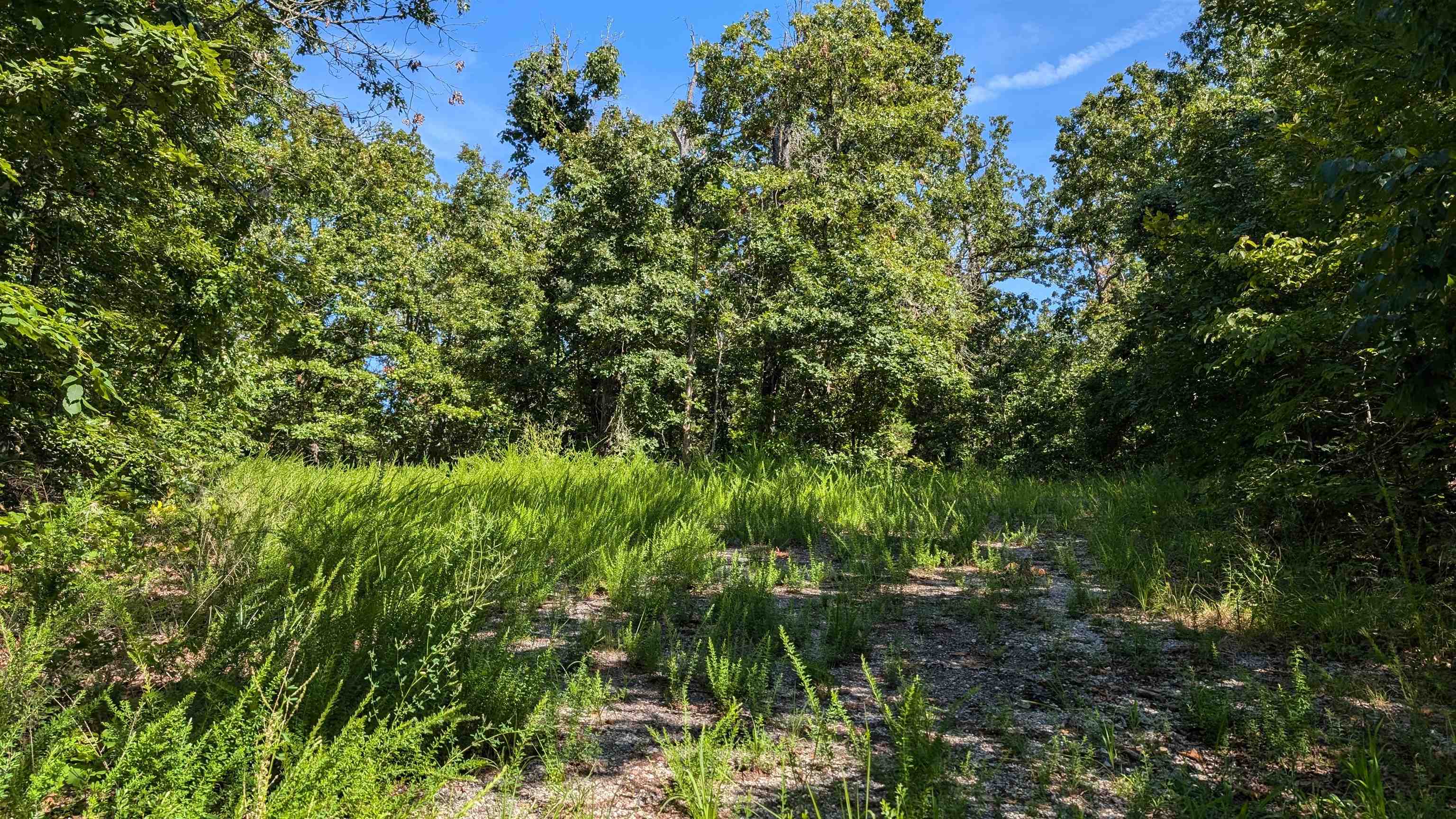   Sagwah Adam Drive Cherokee Village, AR