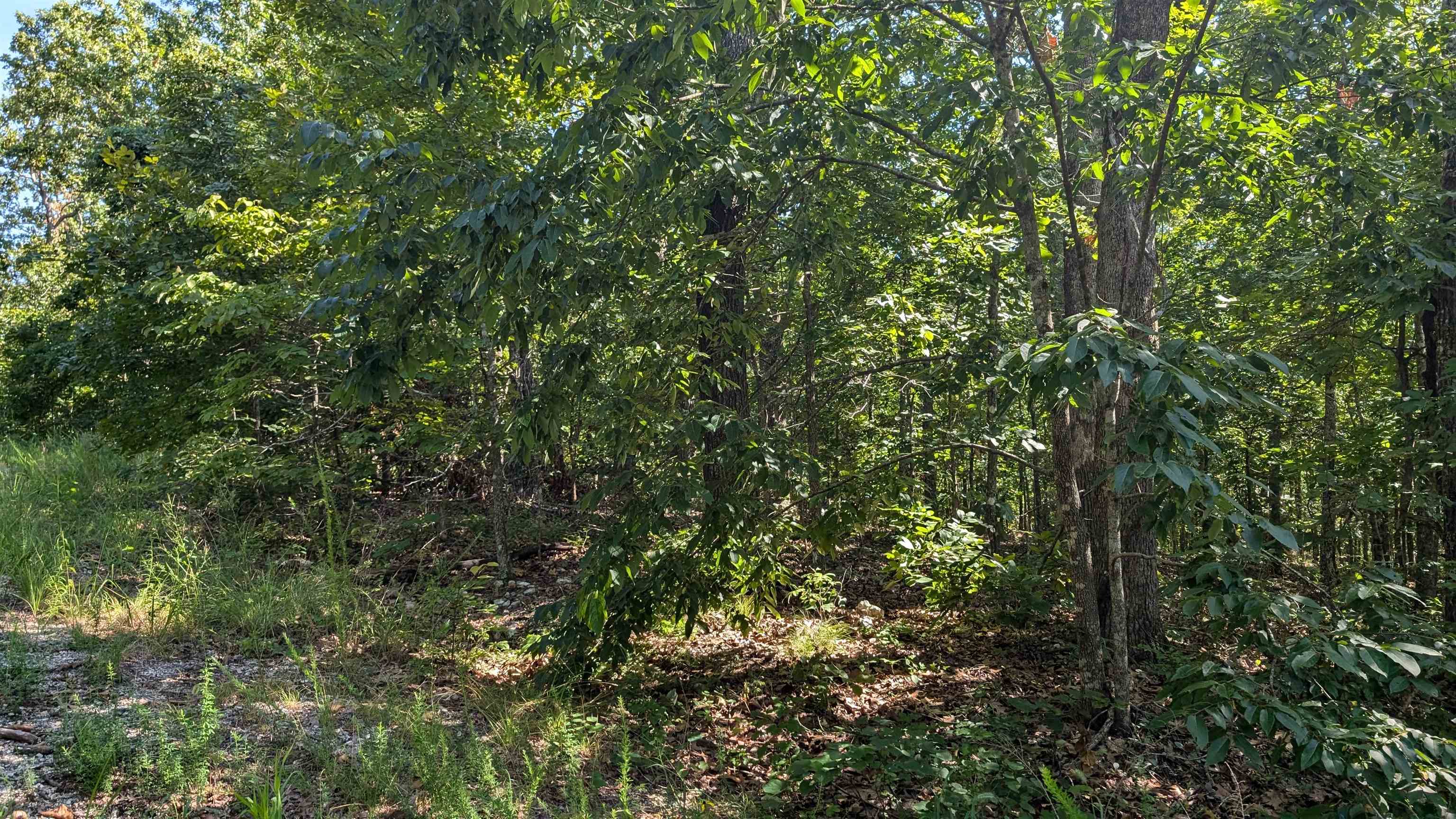   Sagwah Adam Drive Cherokee Village, AR