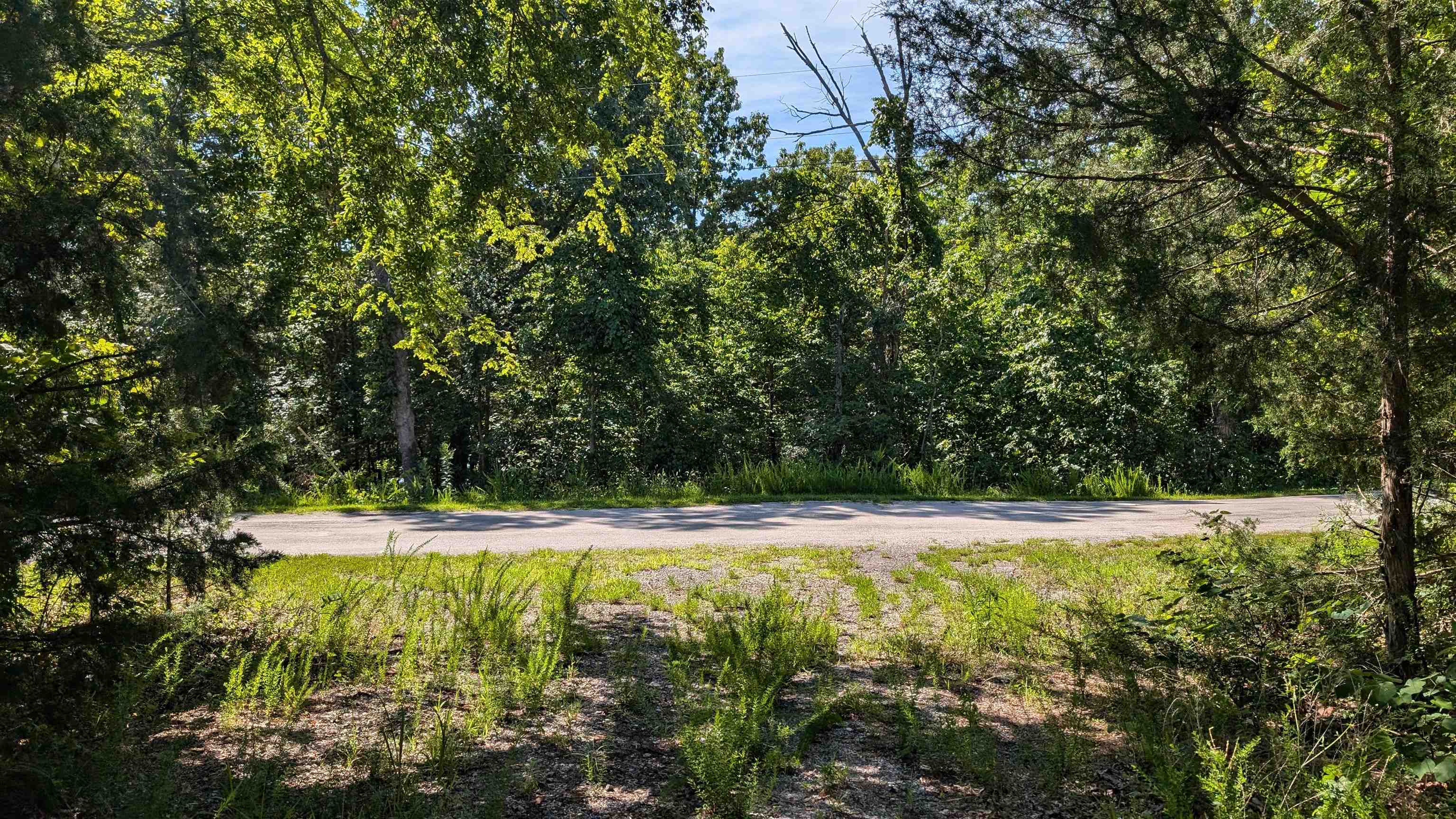   Sagwah Adam Drive Cherokee Village, AR