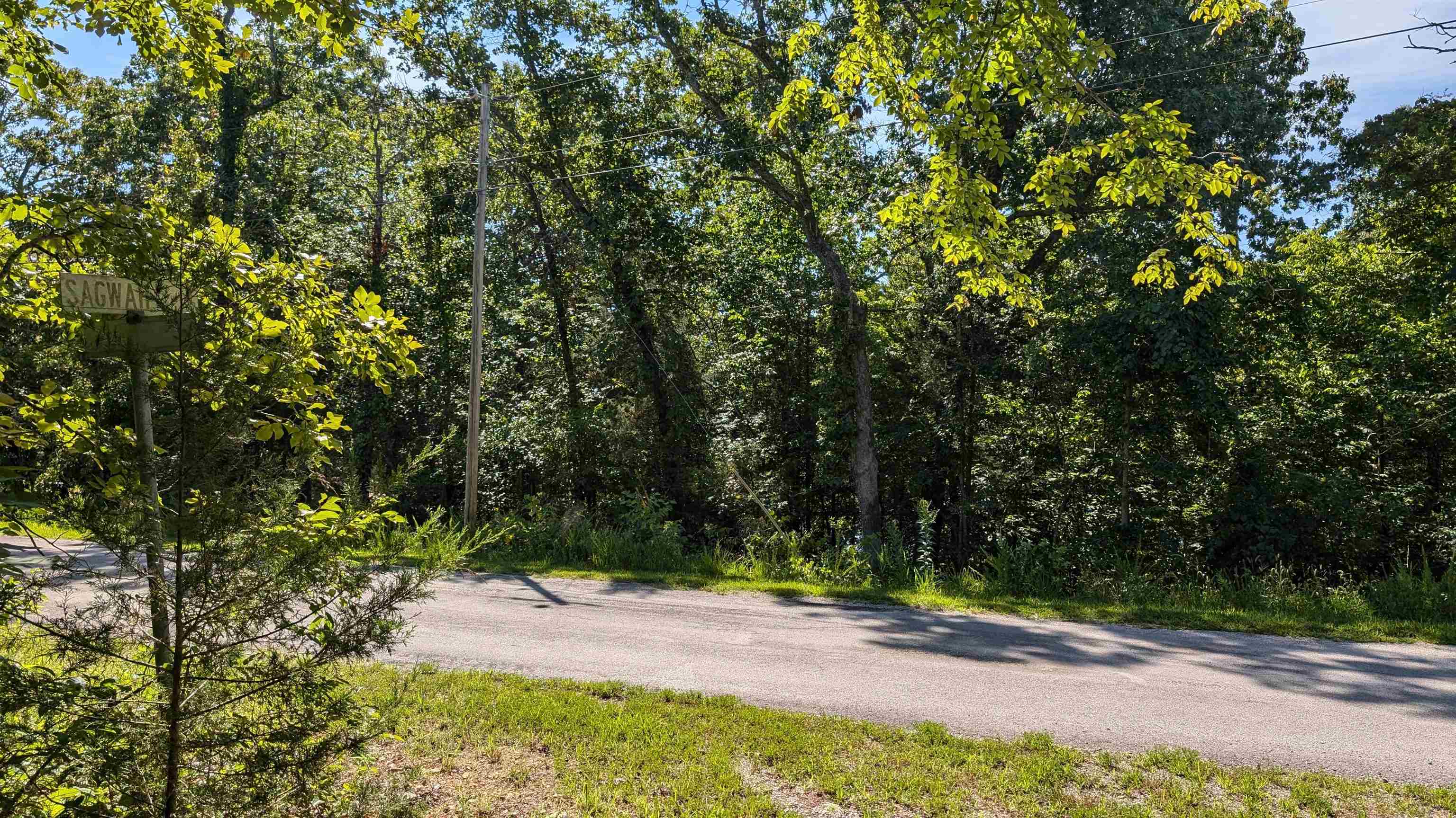   Sagwah Adam Drive Cherokee Village, AR
