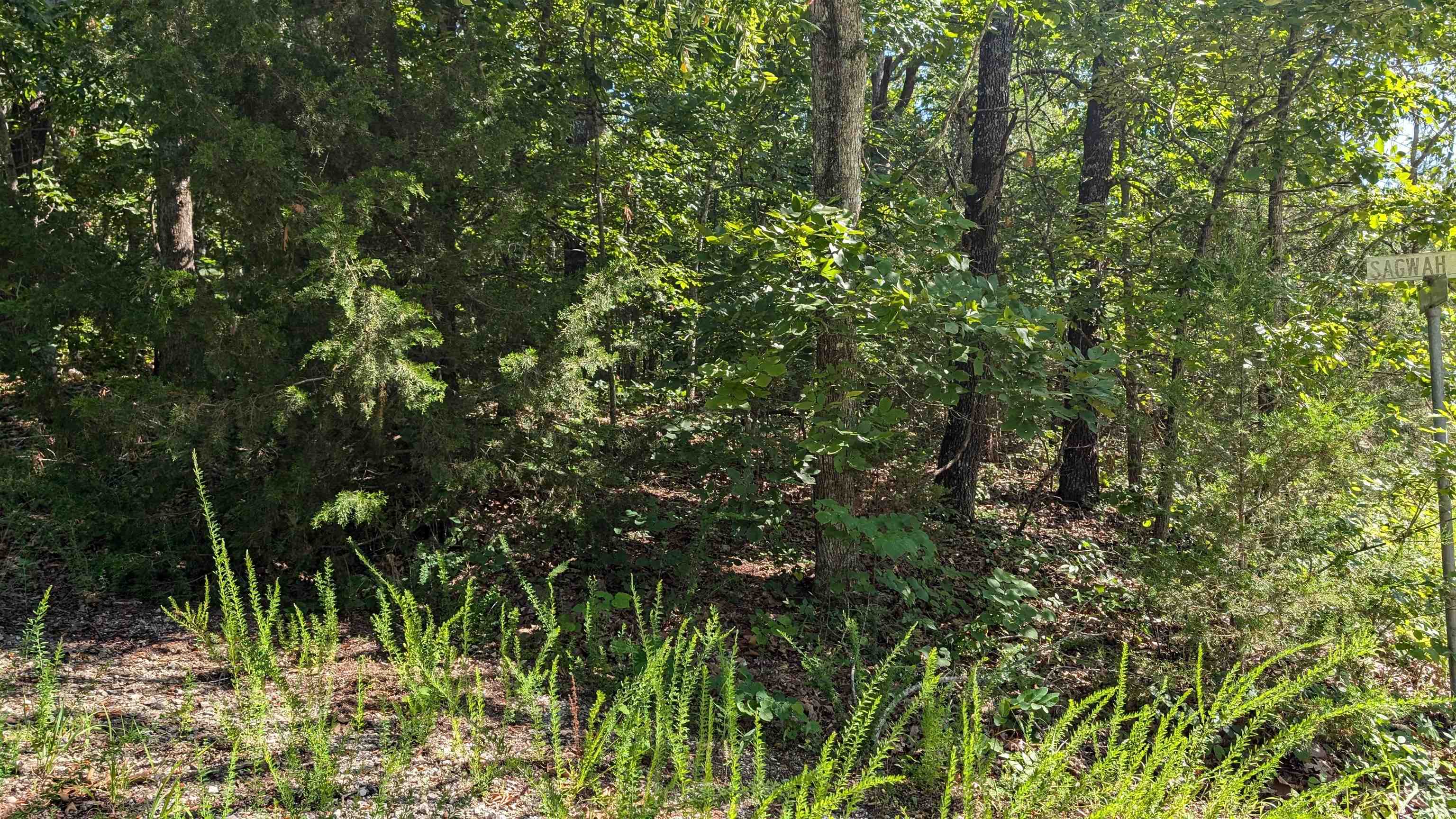   Sagwah Adam Drive Cherokee Village, AR