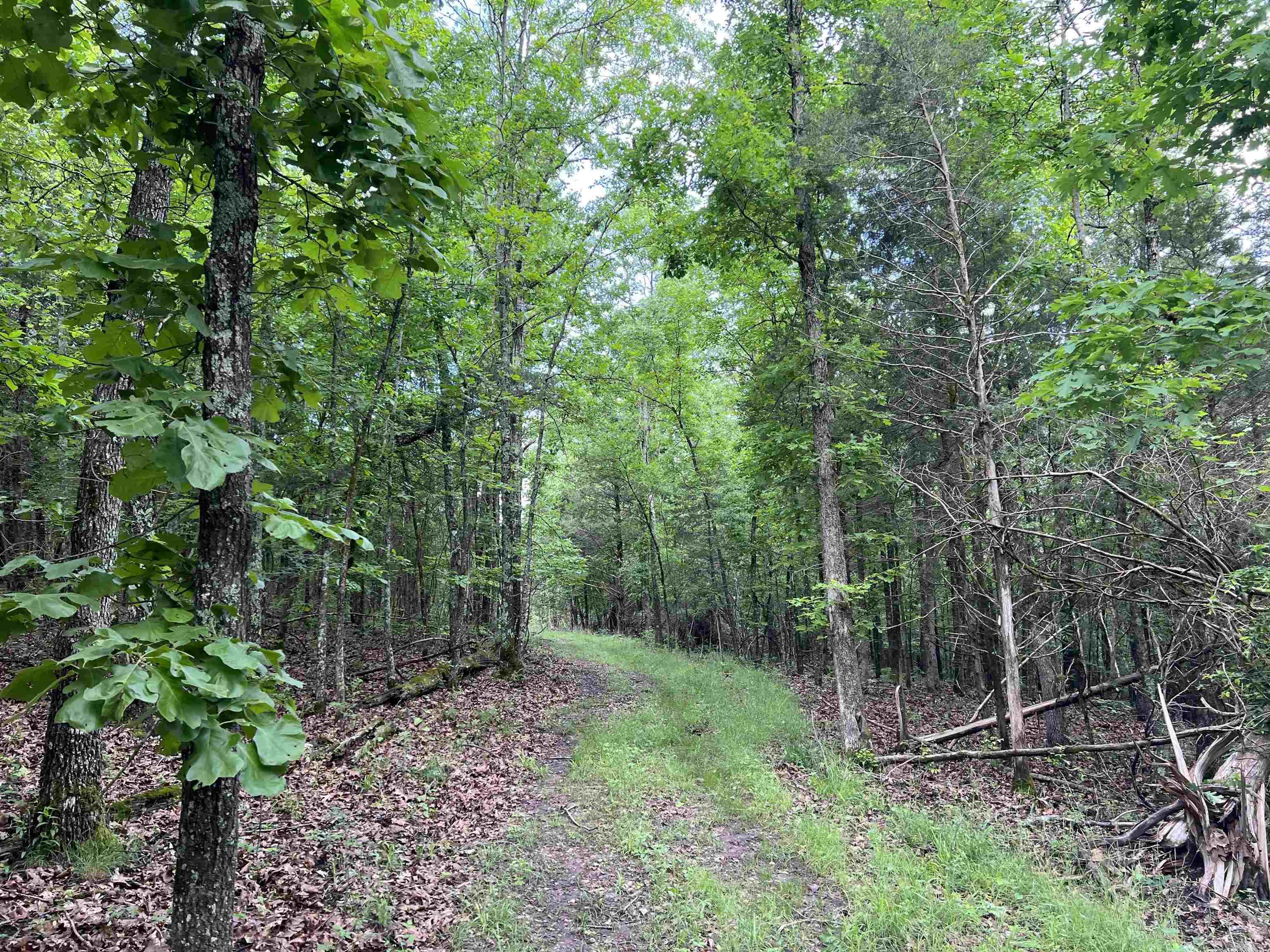   Meadow Creek  Harrison, AR