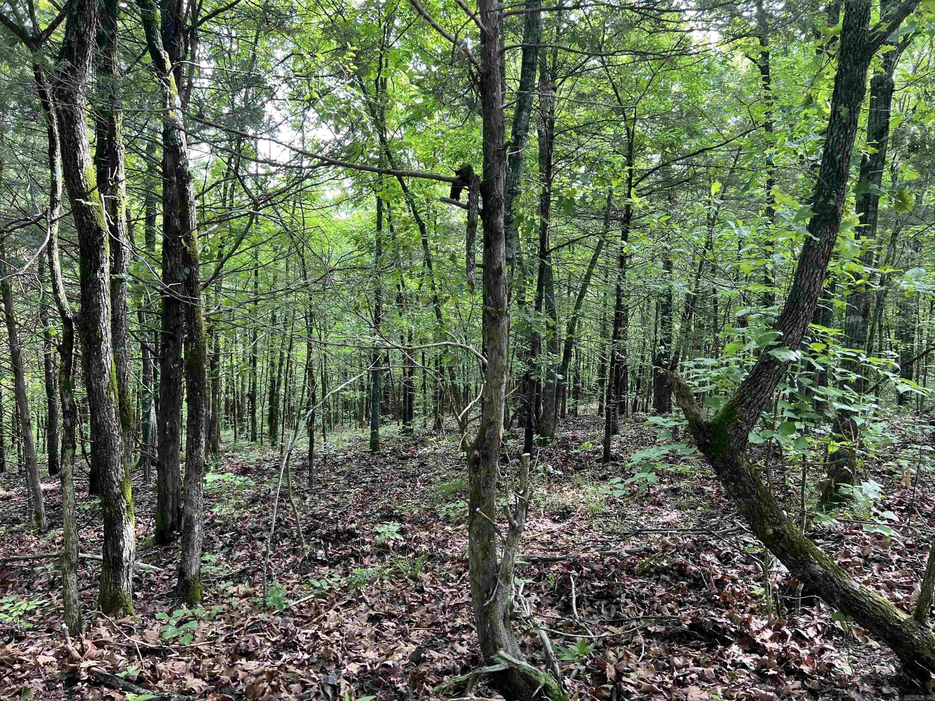   Meadow Creek  Harrison, AR