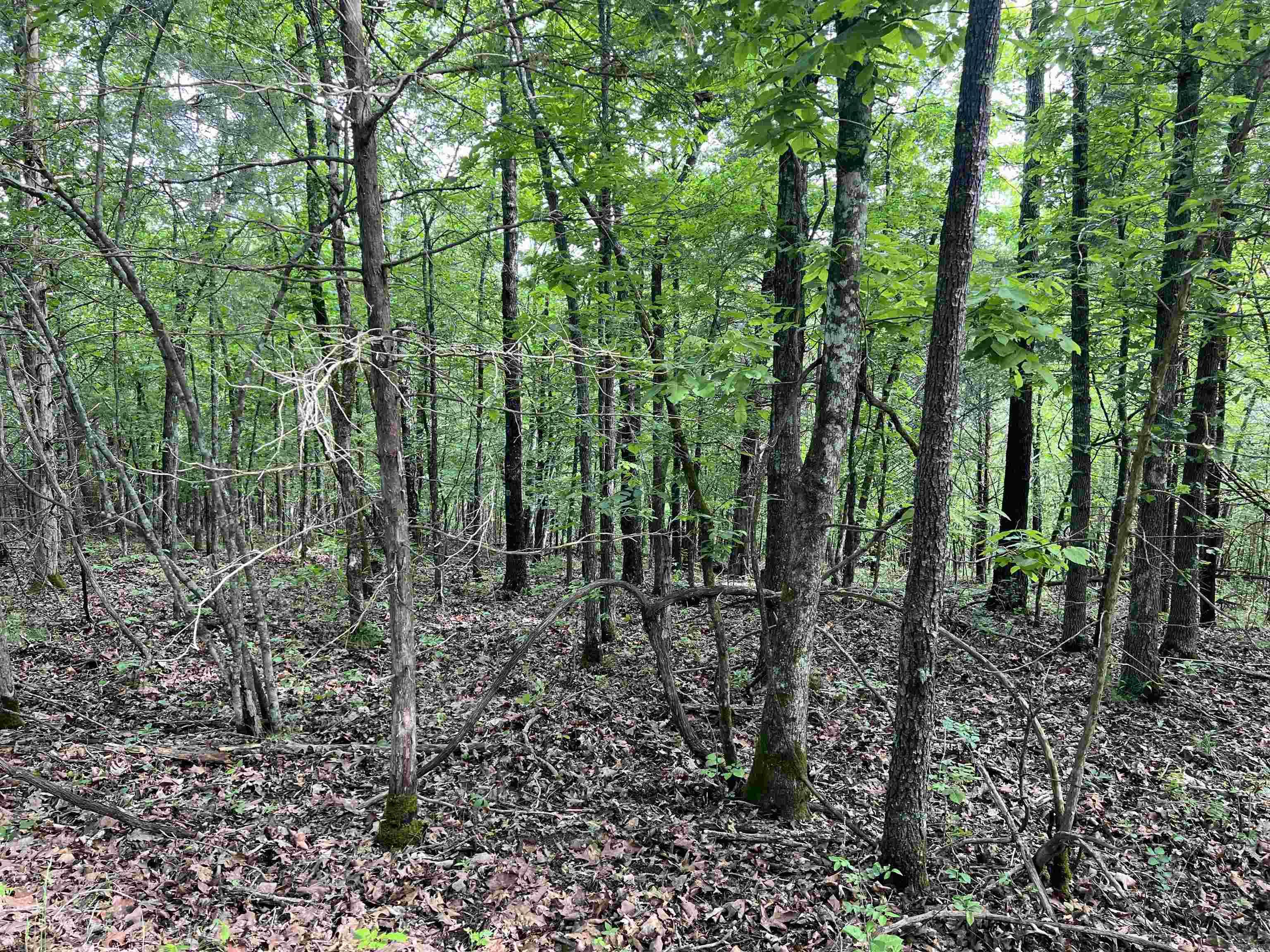   Meadow Creek  Harrison, AR