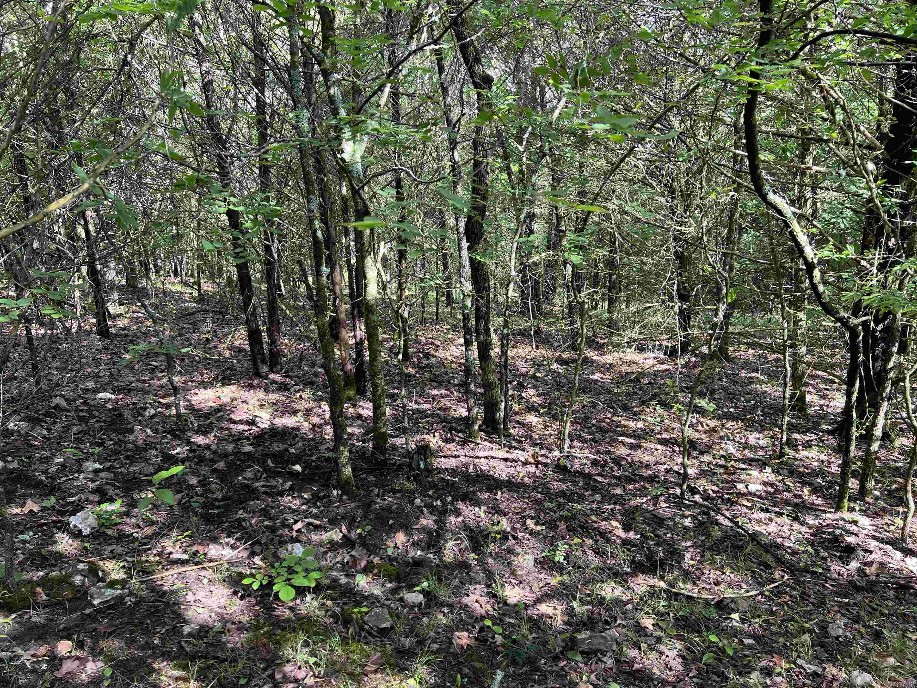   Meadow Creek  Harrison, AR
