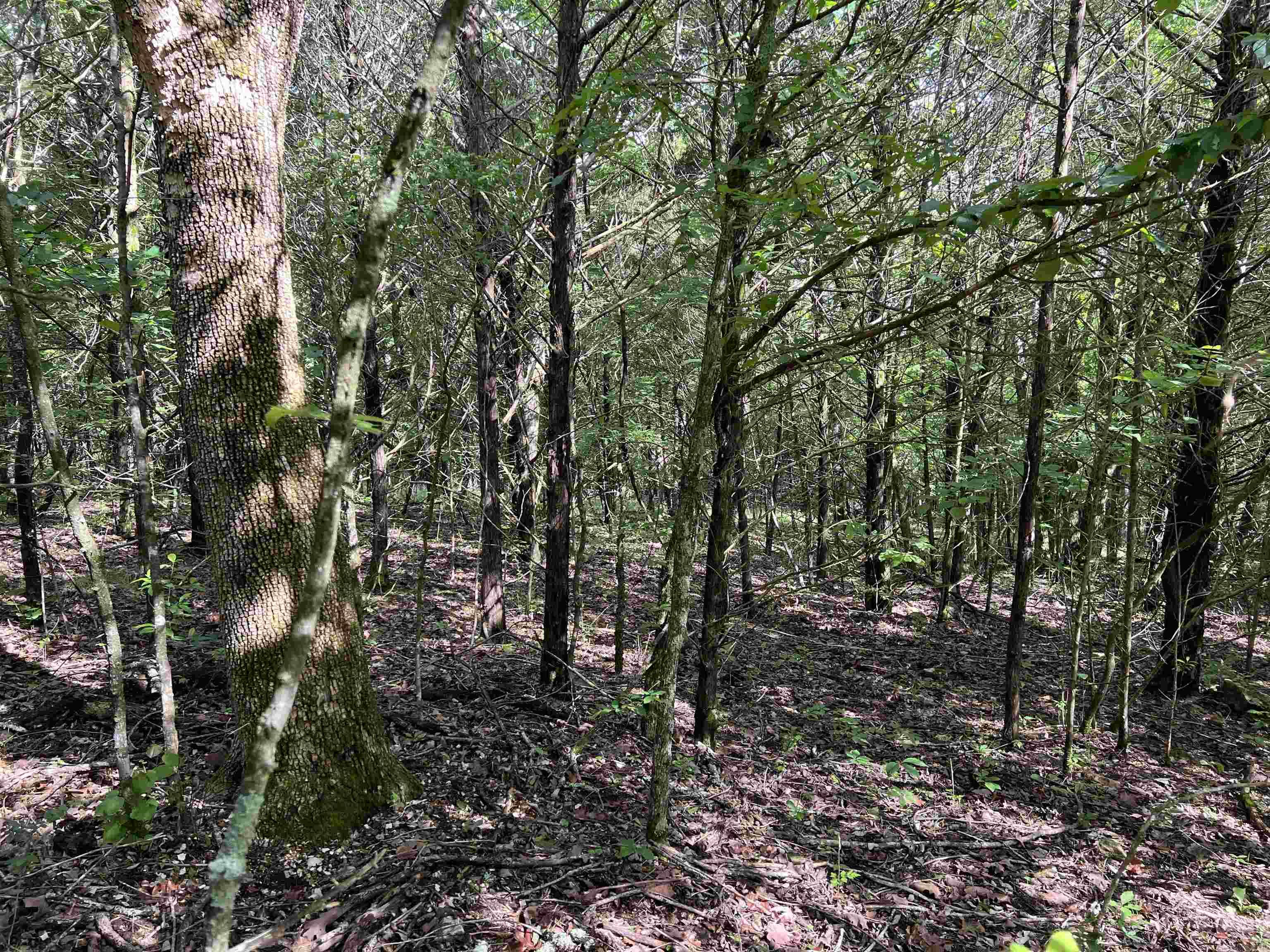   Meadow Creek  Harrison, AR