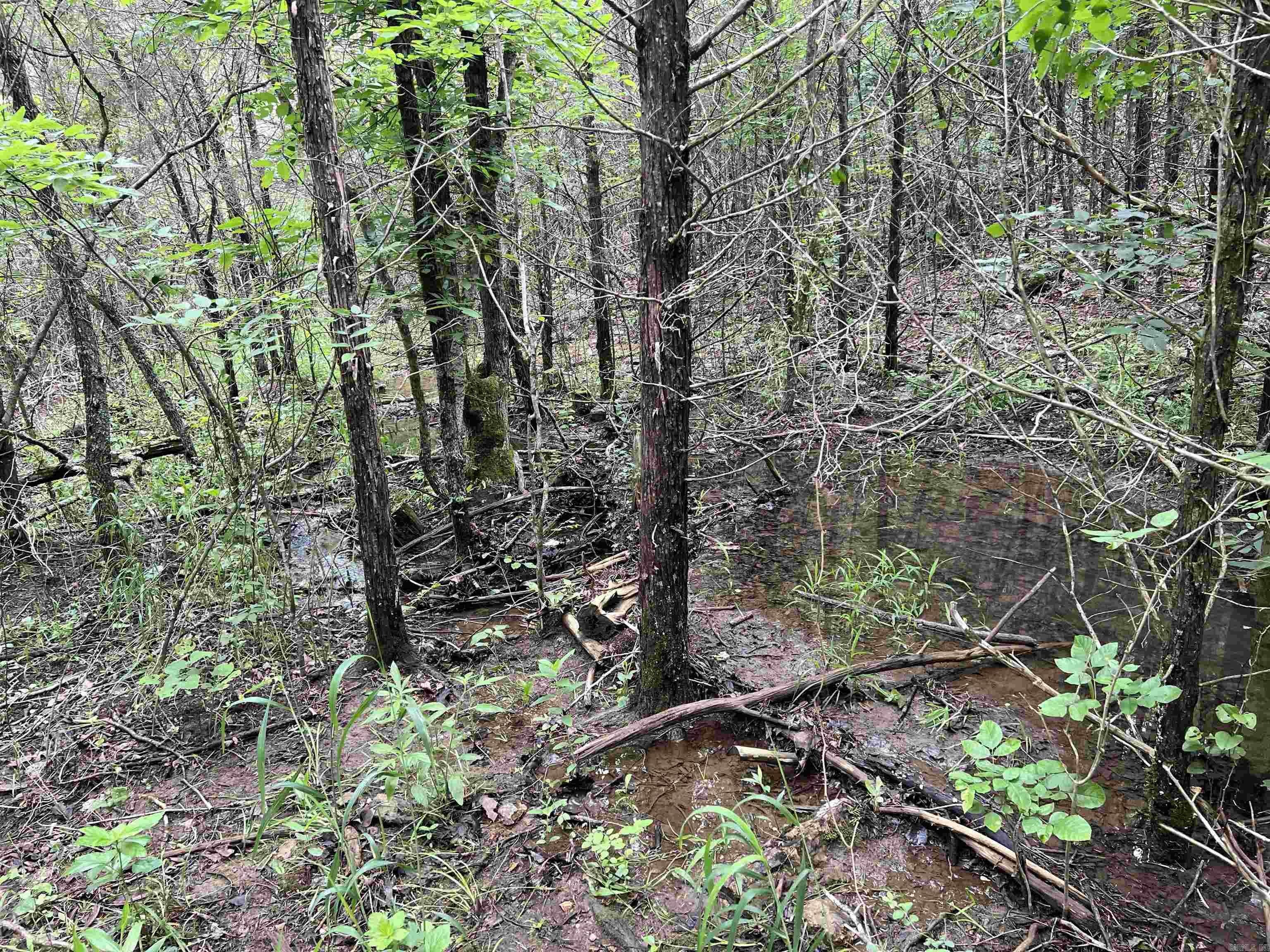   Meadow Creek  Harrison, AR
