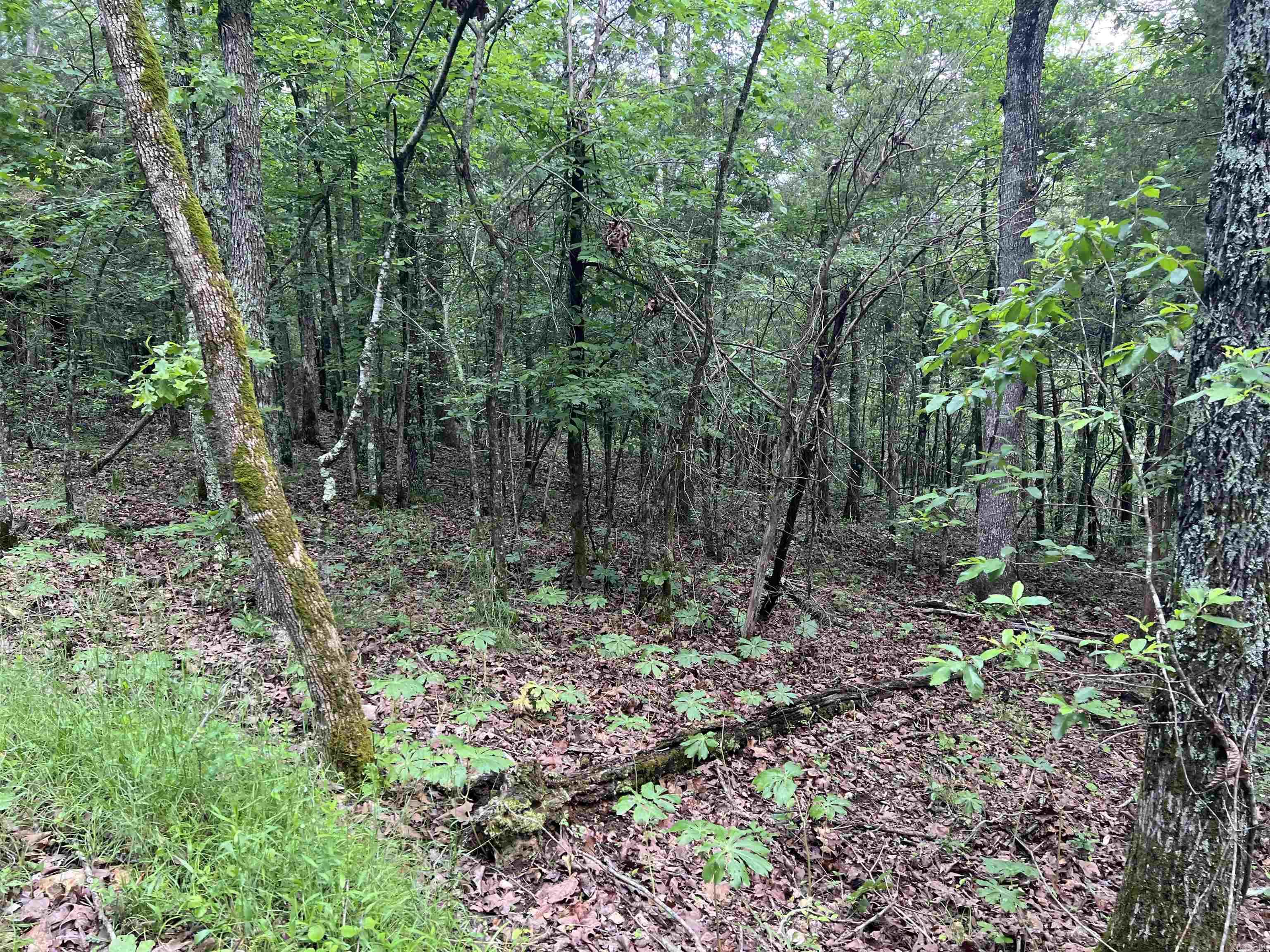   Meadow Creek  Harrison, AR
