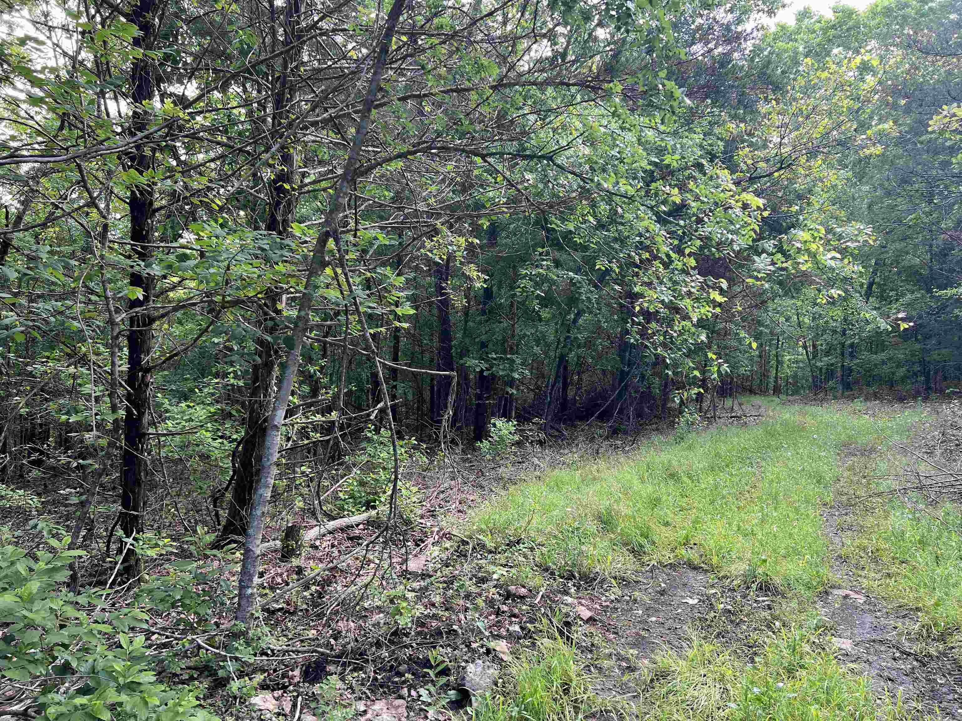   Meadow Creek  Harrison, AR