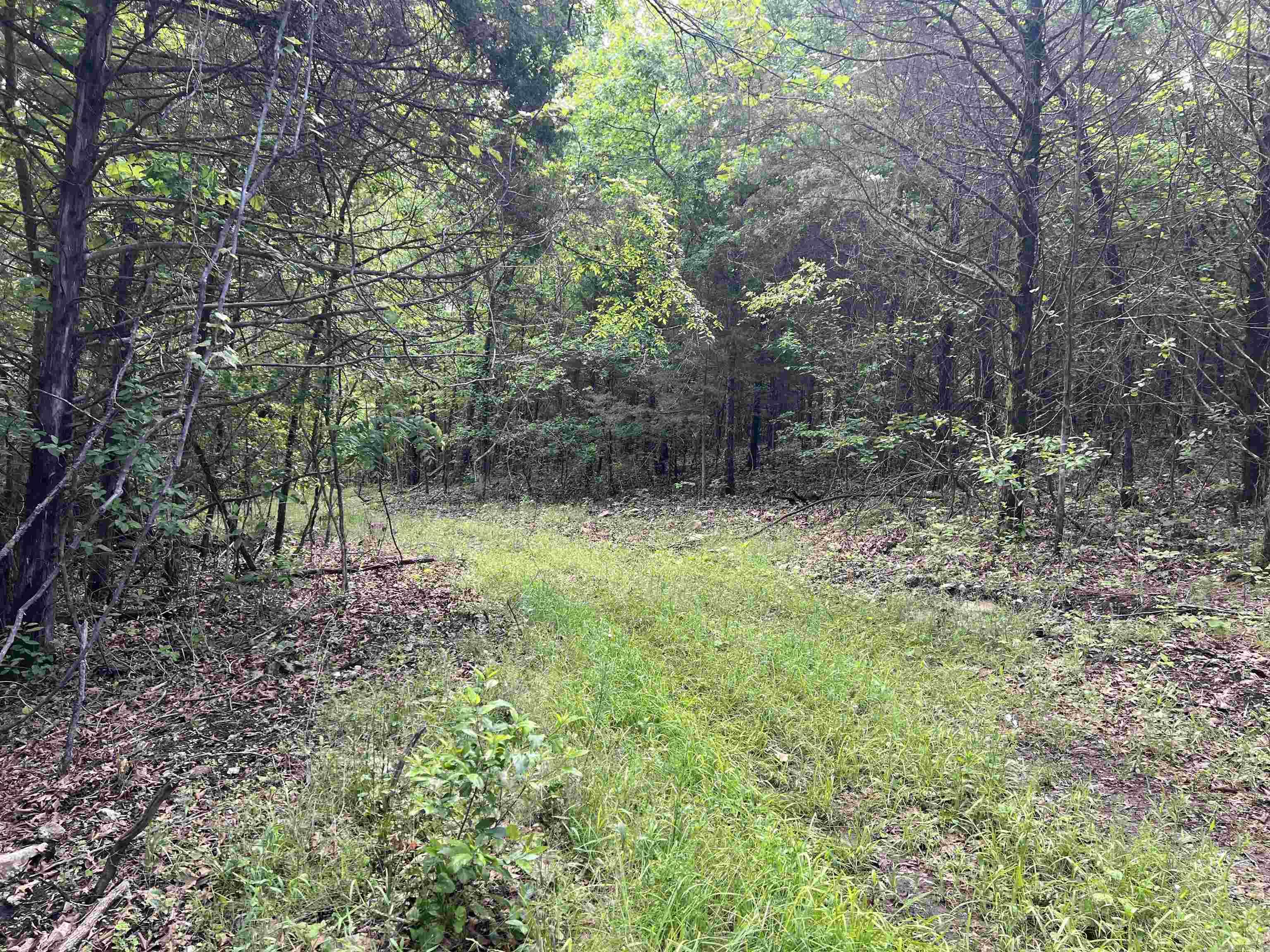   Meadow Creek  Harrison, AR