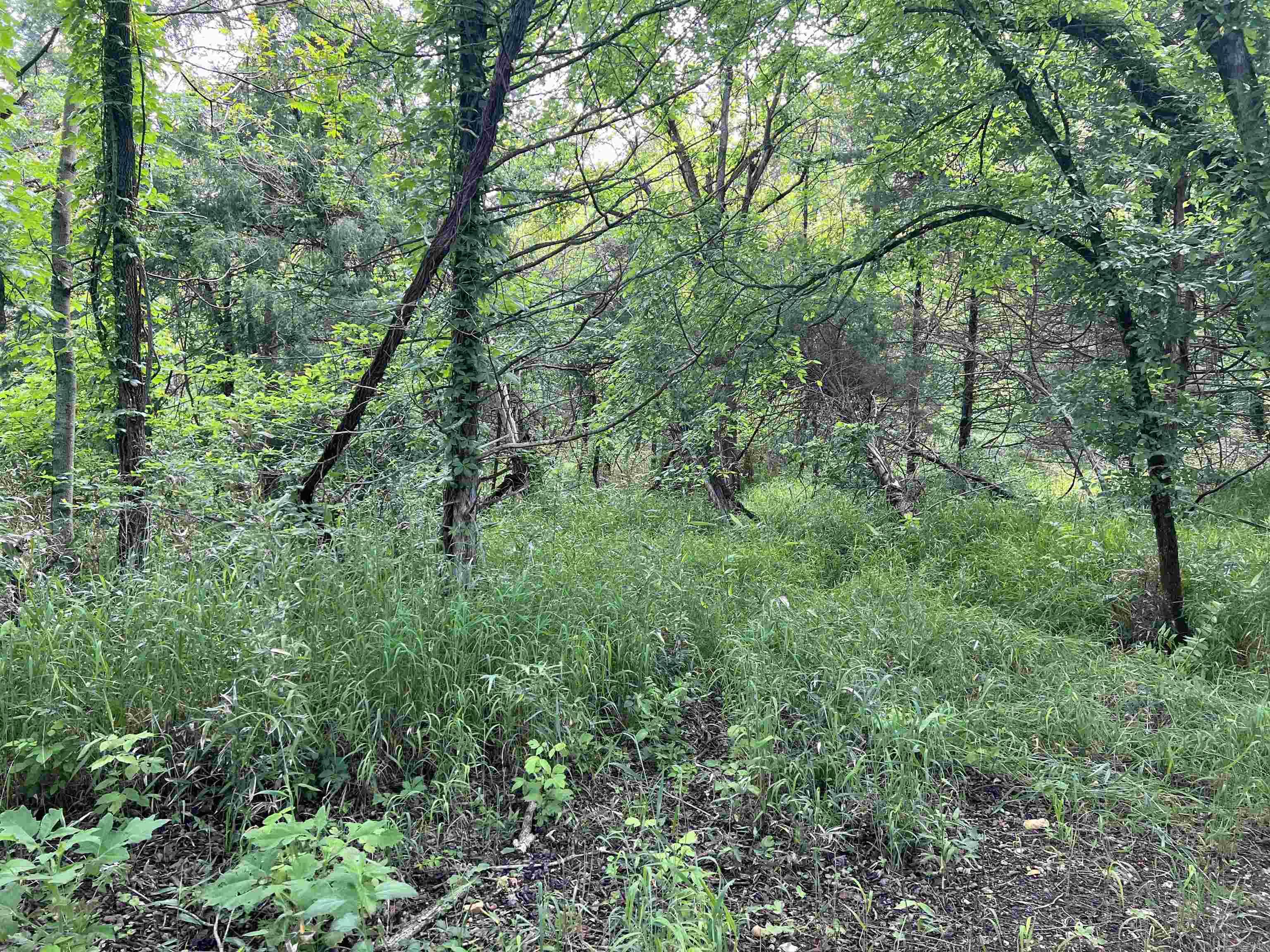   Meadow Creek  Harrison, AR