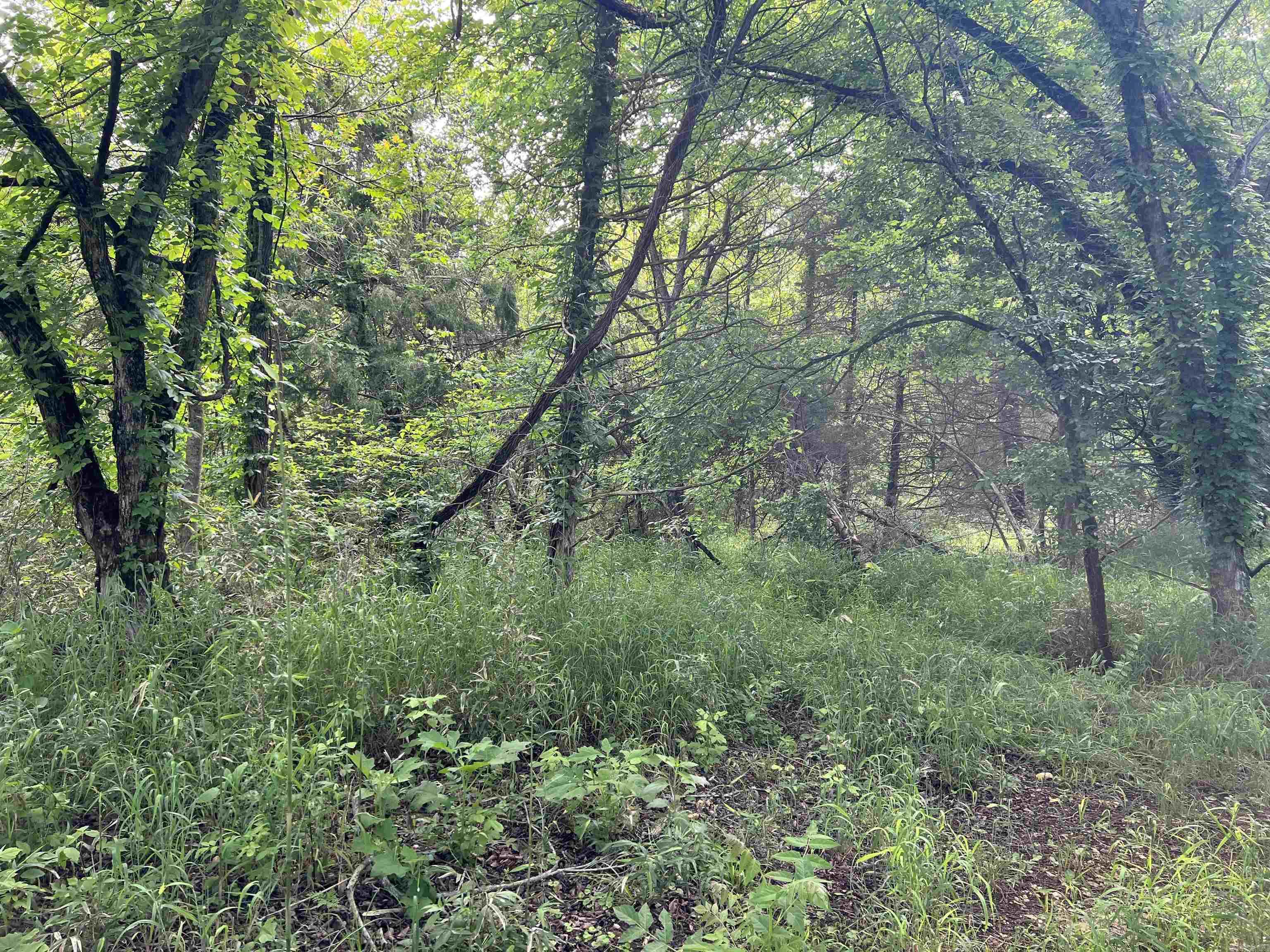   Meadow Creek  Harrison, AR