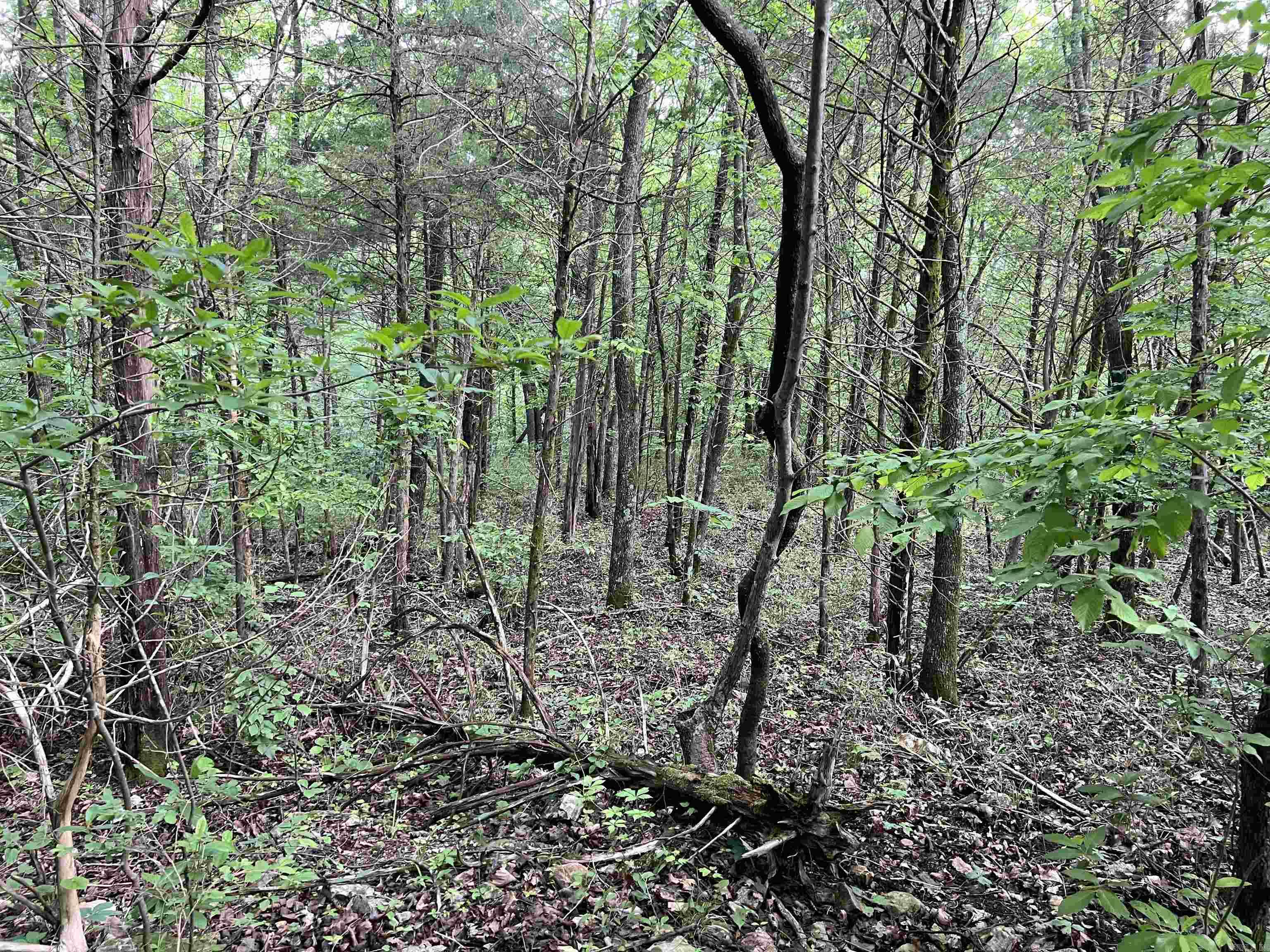   Meadow Creek  Harrison, AR