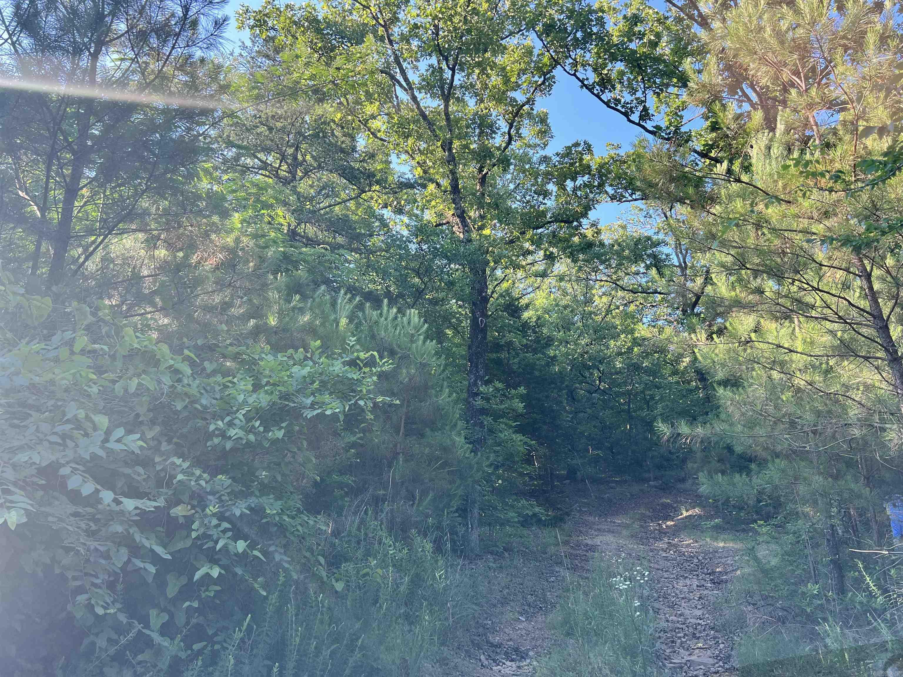 1952  Highway 89 West  Cabot, AR