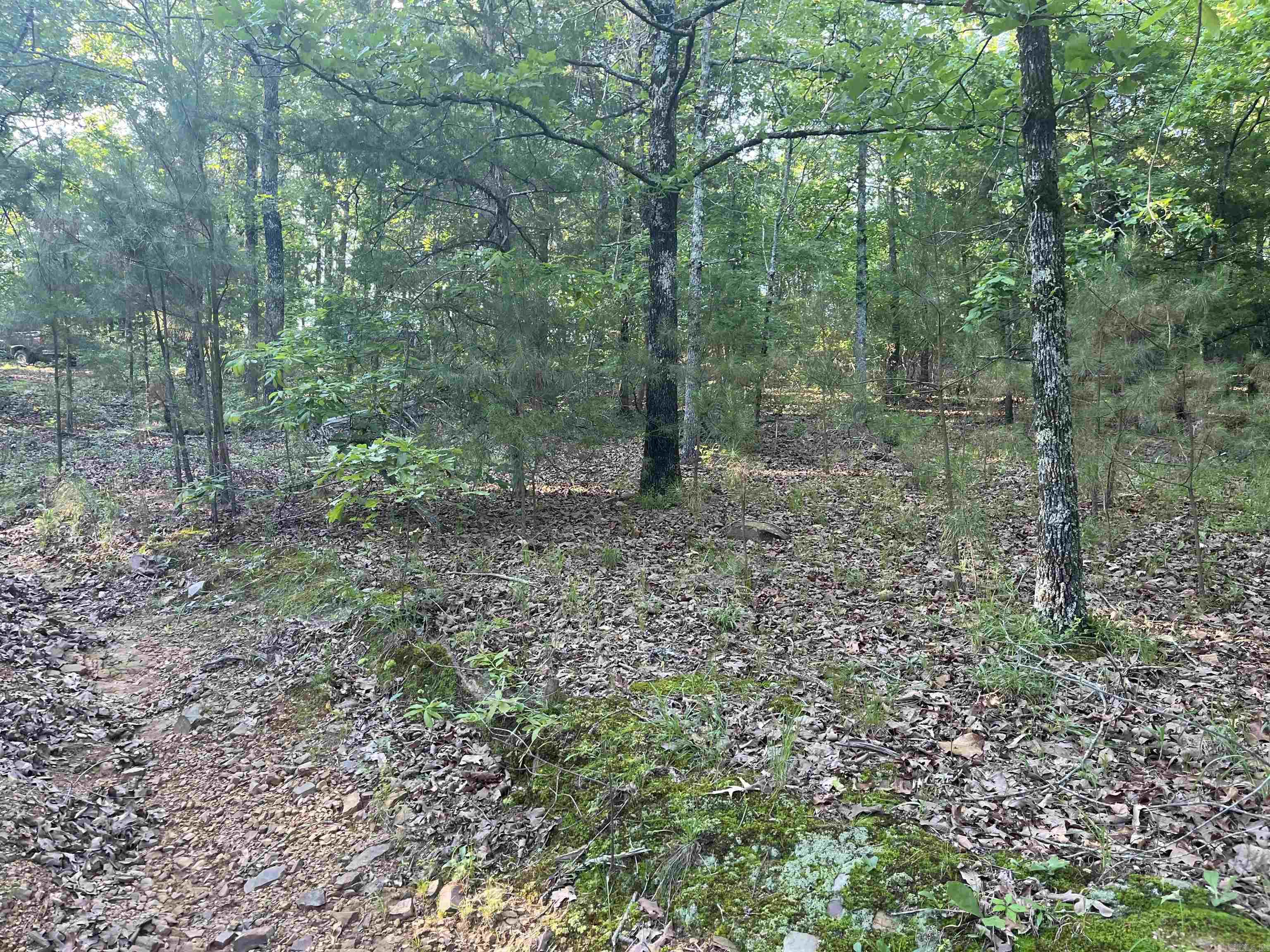 1952  Highway 89 West  Cabot, AR