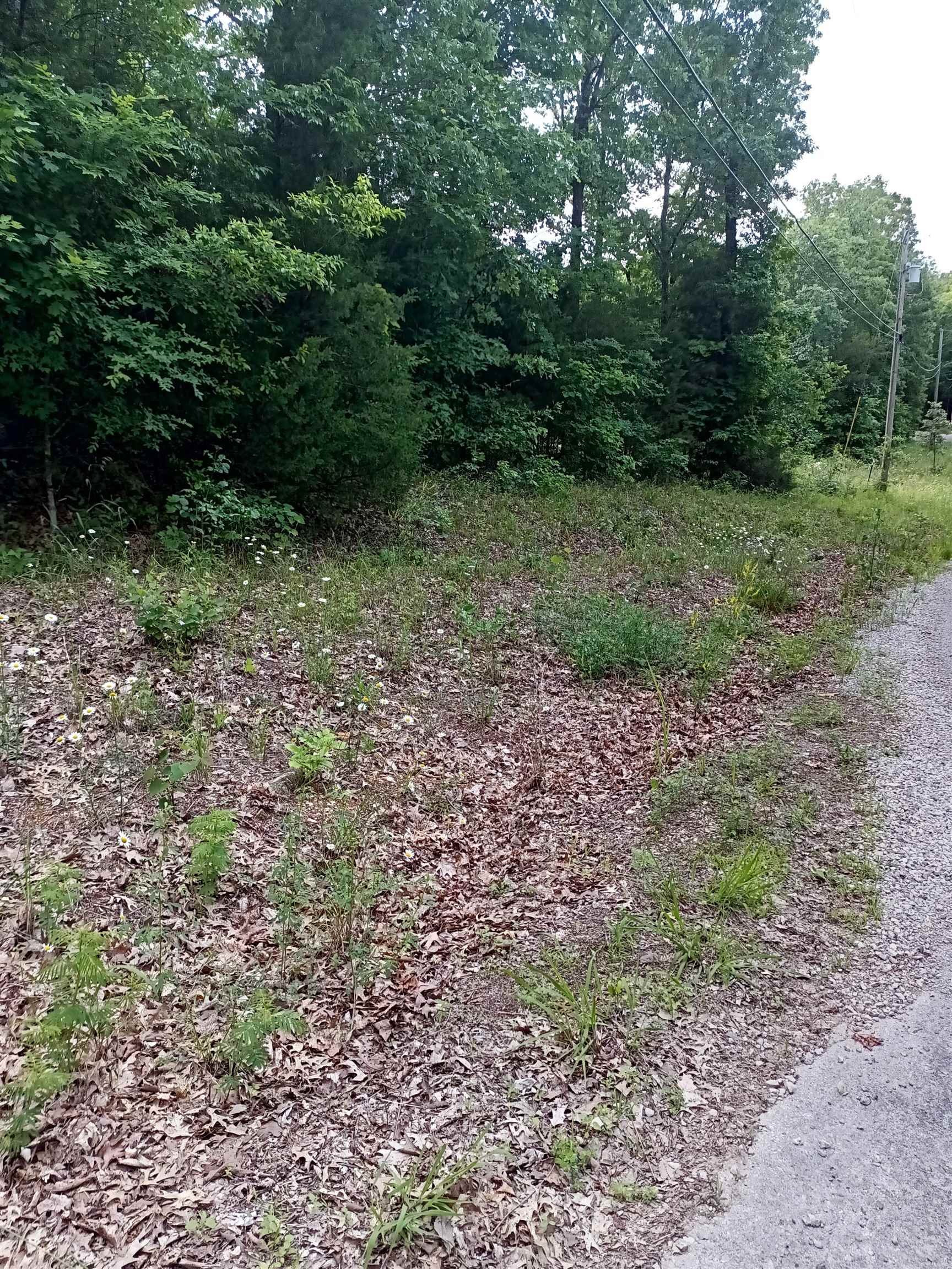 Lot17 Blk3  Woodland Hills Rd  Hardy, AR