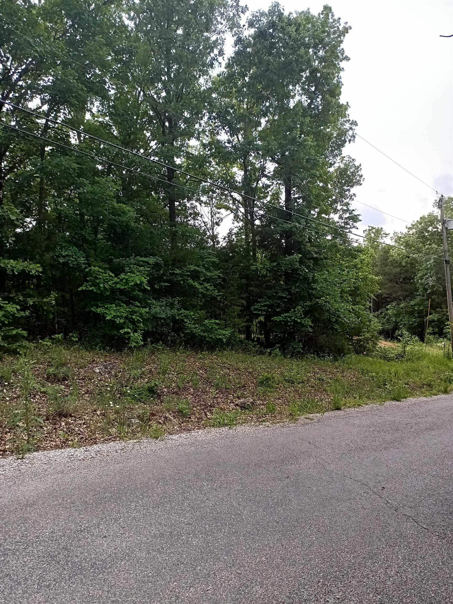 Lot17 Blk3  Woodland Hills Rd  Hardy, AR
