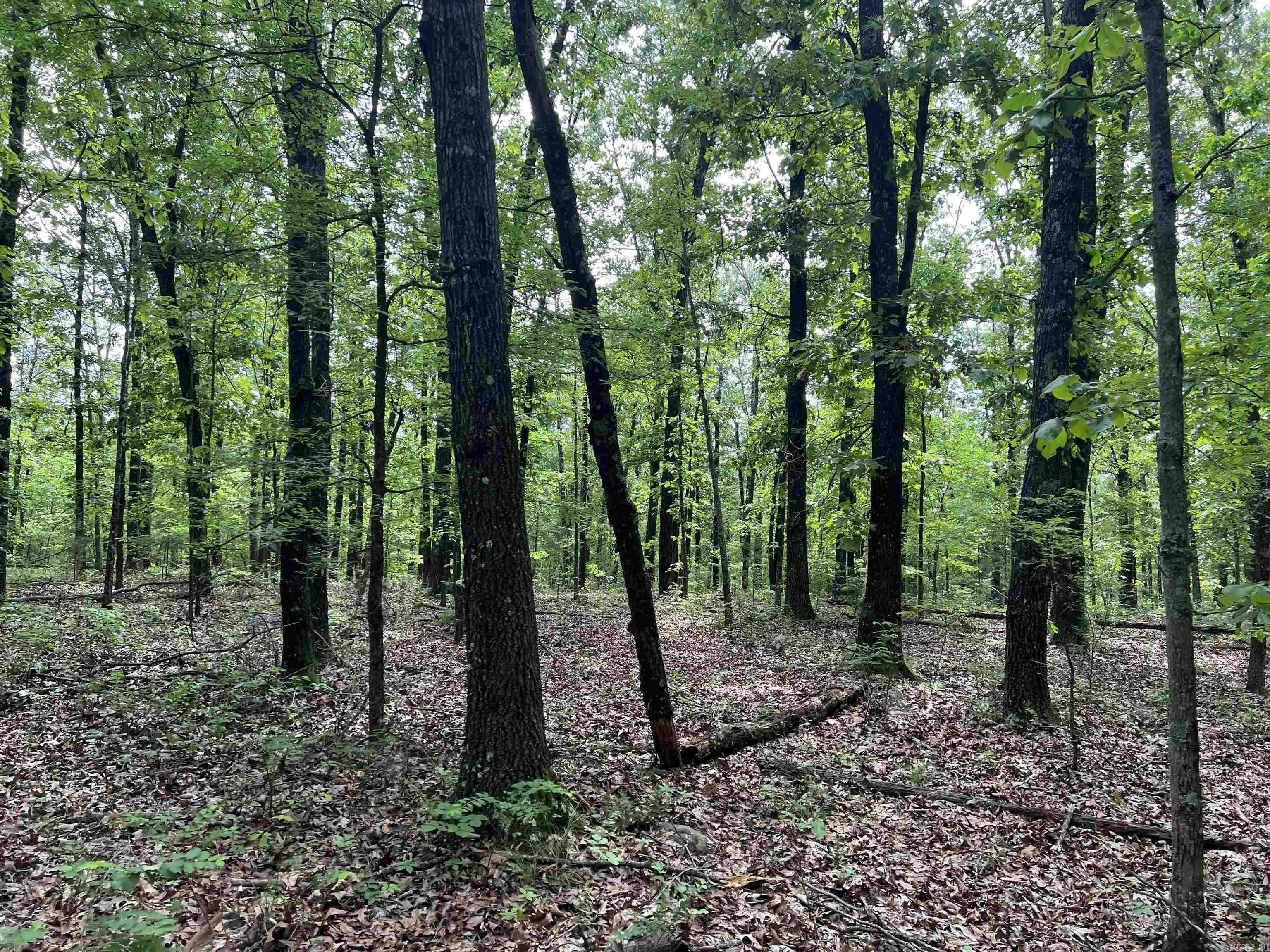   9.58 Acres on Meadow Creek  Harrison, AR