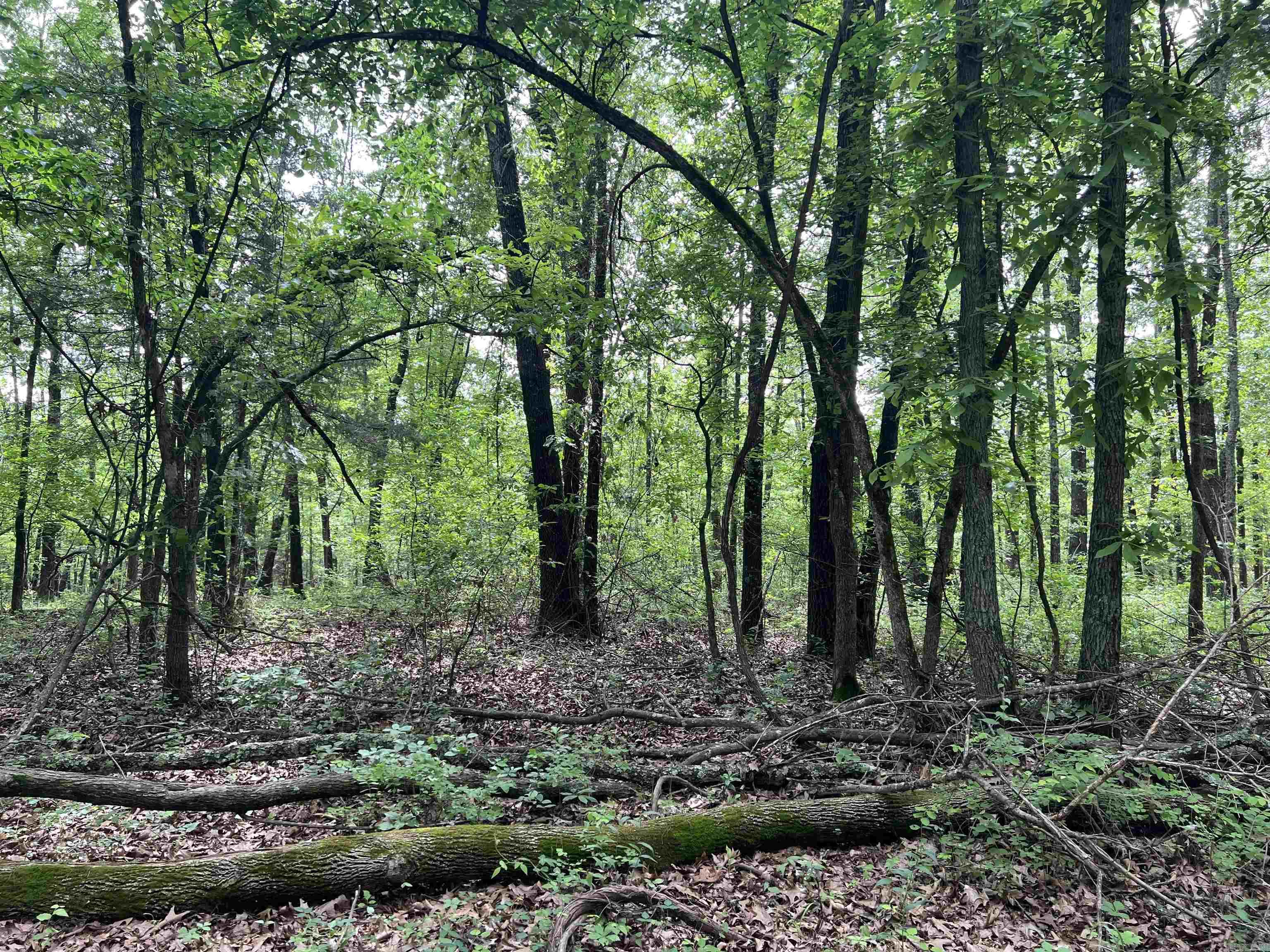   9.58 Acres on Meadow Creek  Harrison, AR