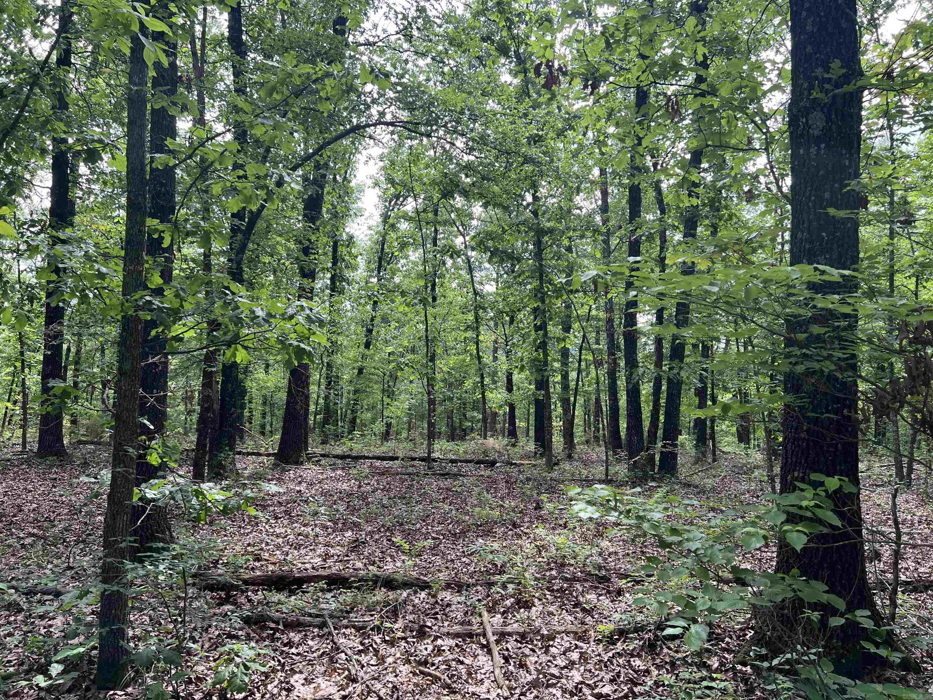   9.58 Acres on Meadow Creek  Harrison, AR