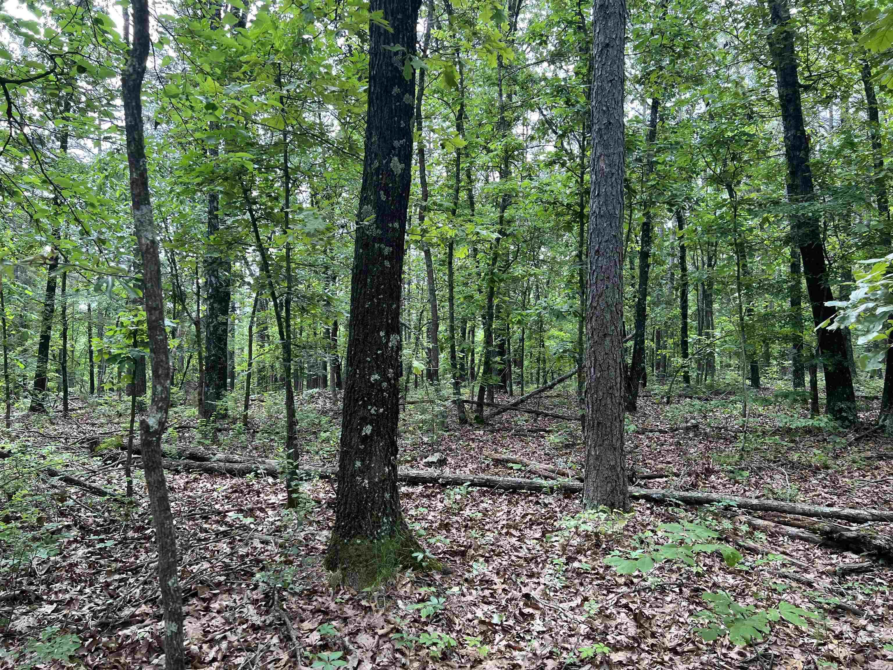   9.58 Acres on Meadow Creek  Harrison, AR