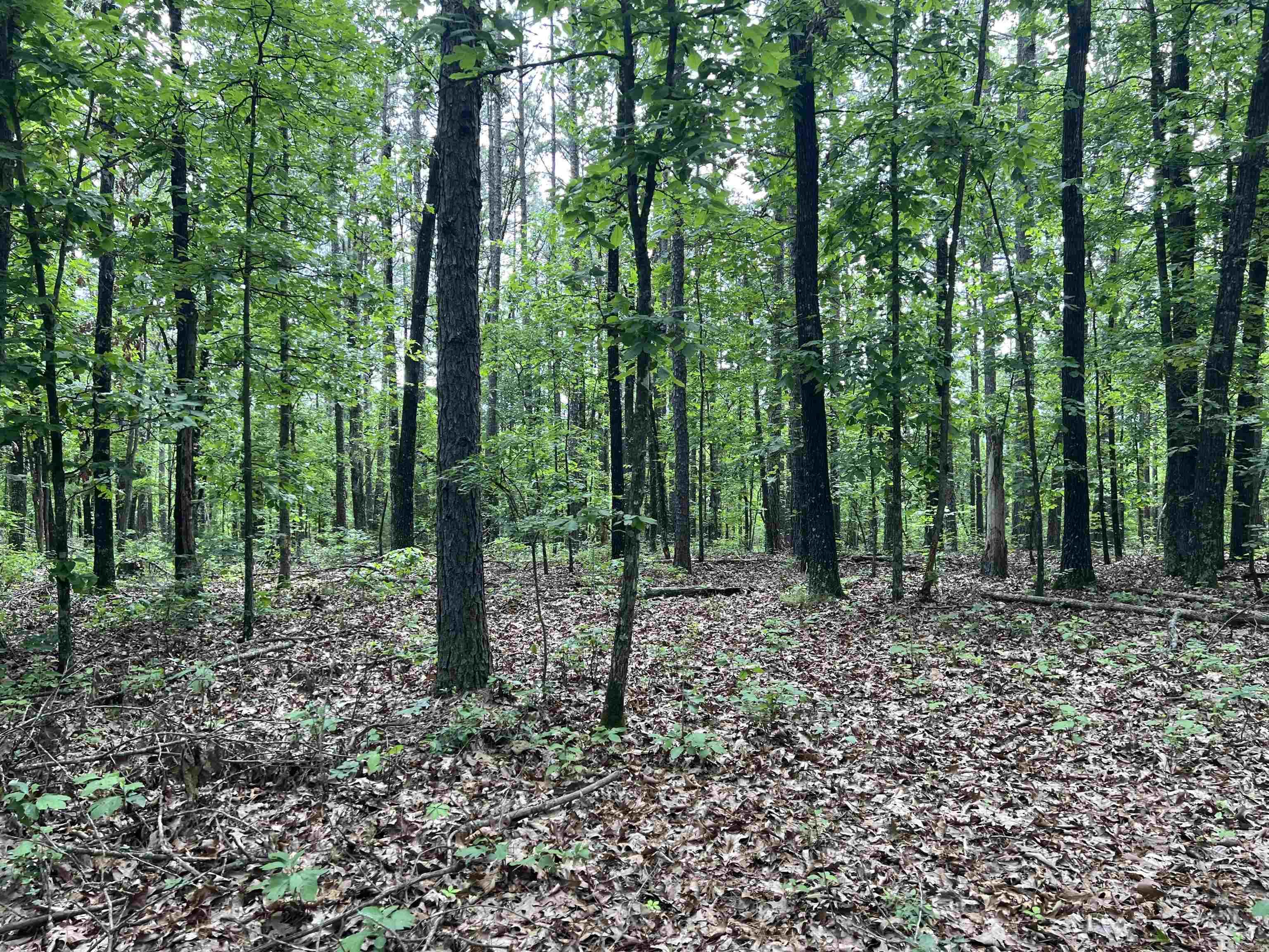   9.58 Acres on Meadow Creek  Harrison, AR