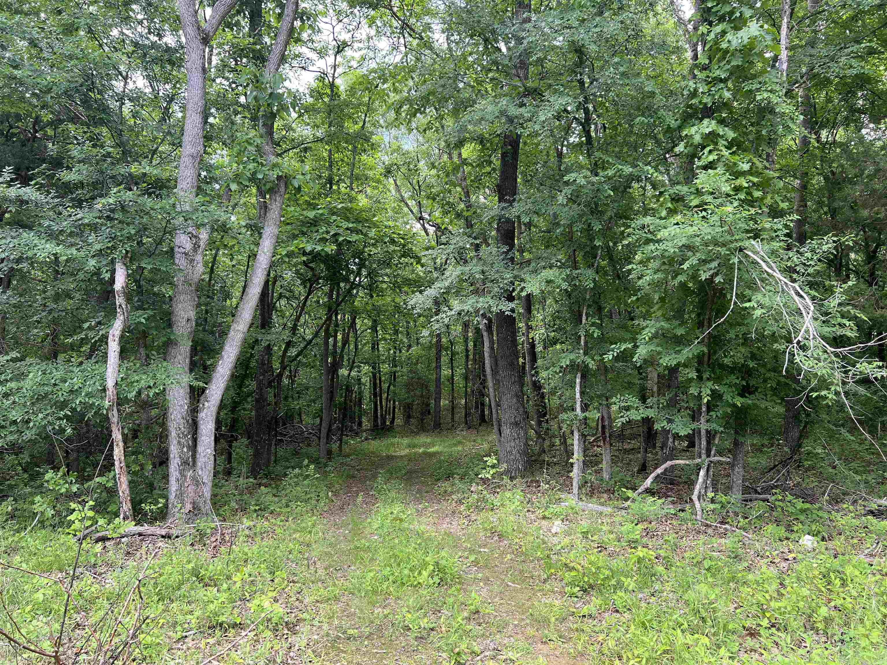  9.58 Acres on Meadow Creek  Harrison, AR